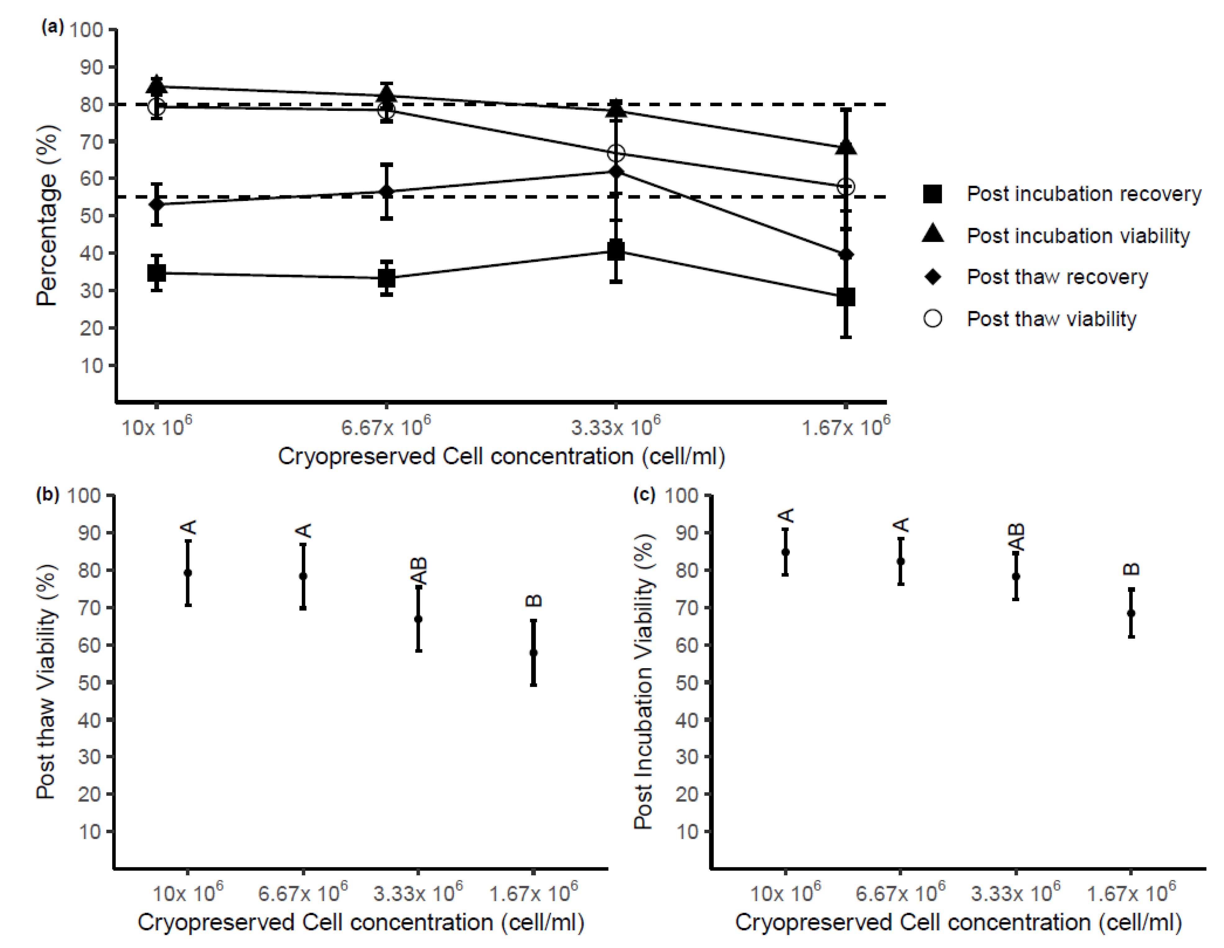 Ijms 22 09129 g004 Ijms 22 09129 g004