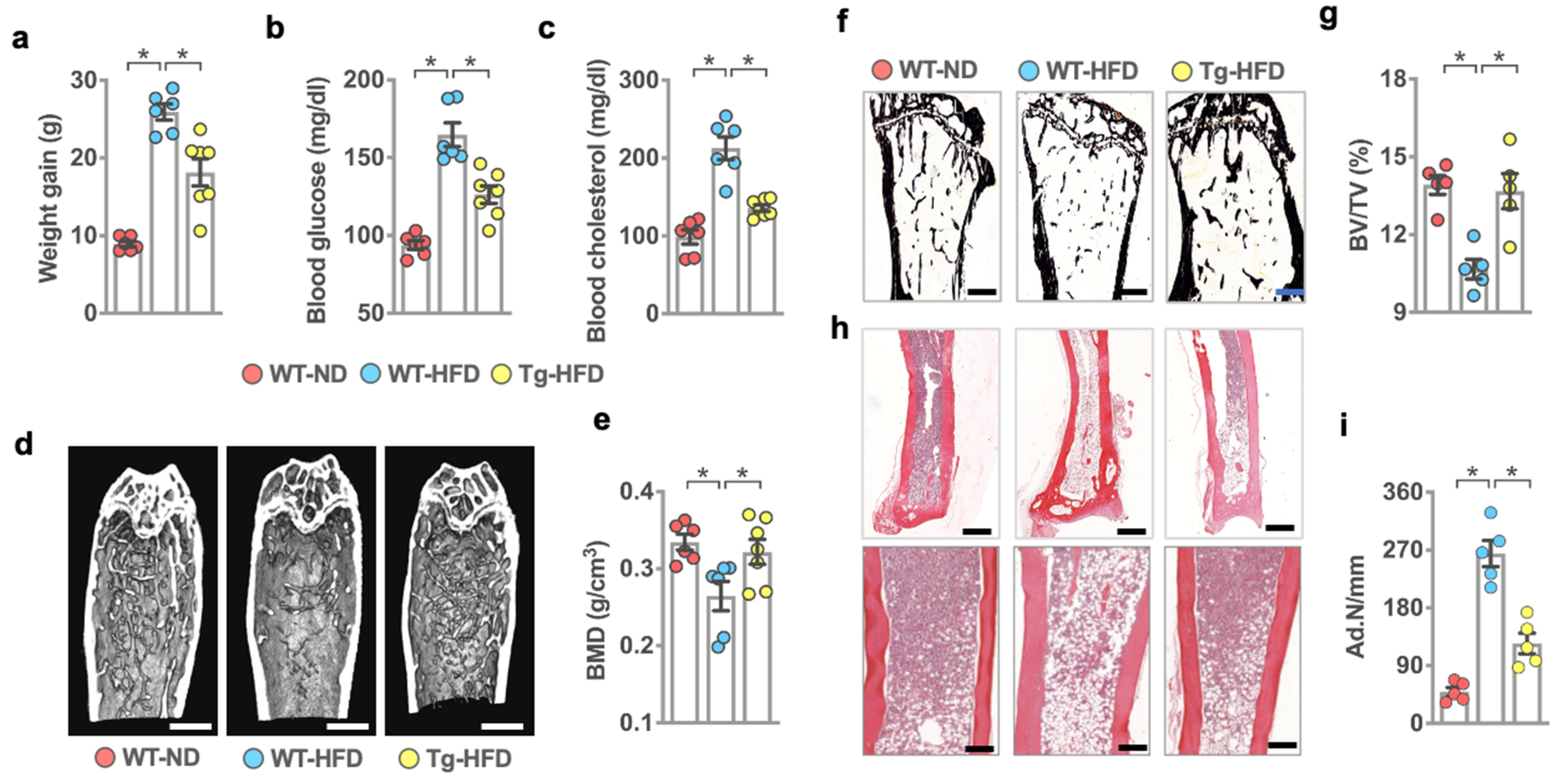 Ijms 22 09135 g001 550
