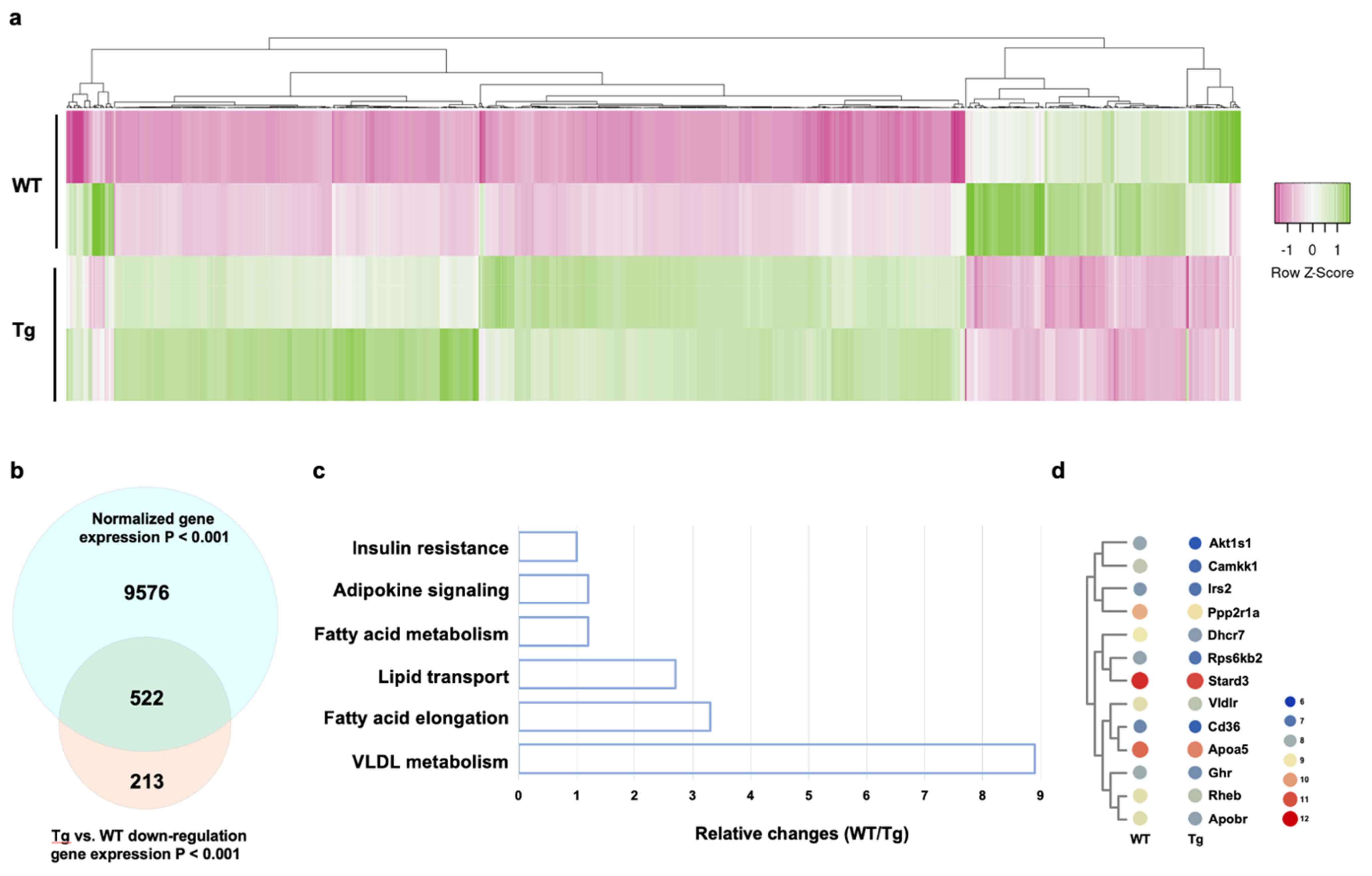 Ijms 22 09135 g004 550