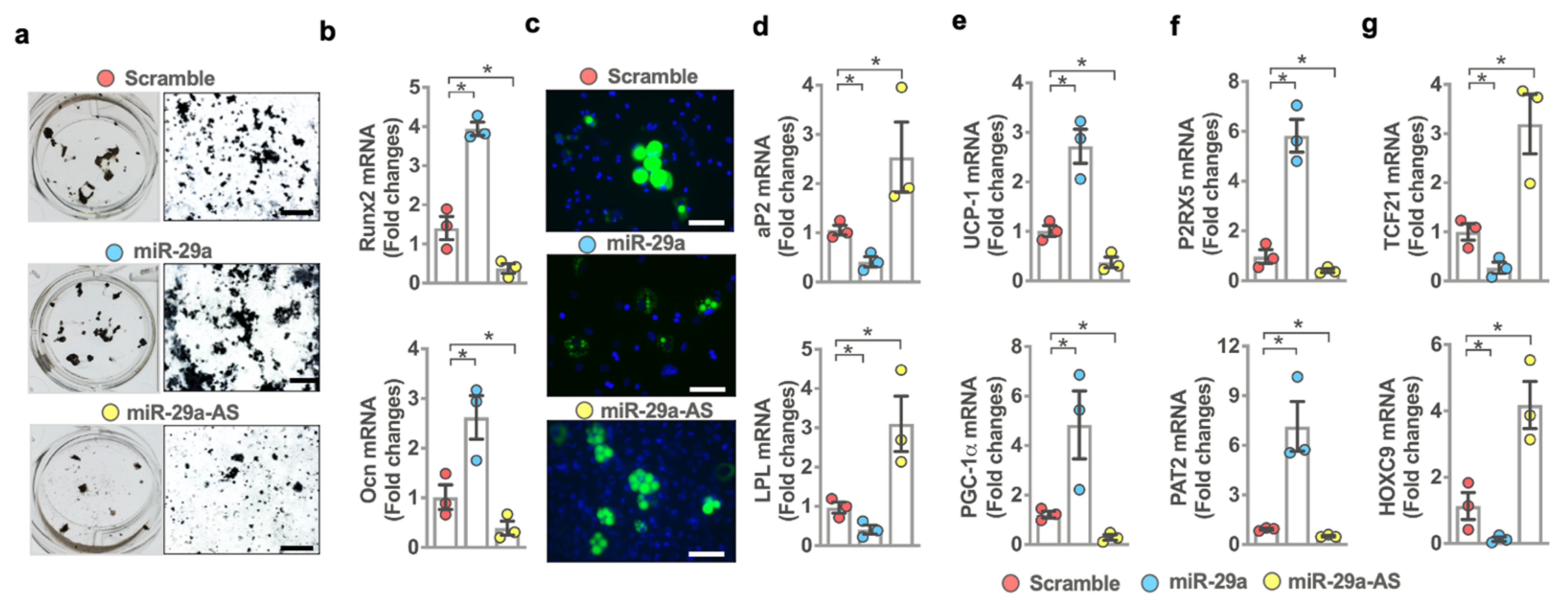 Ijms 22 09135 g005 550