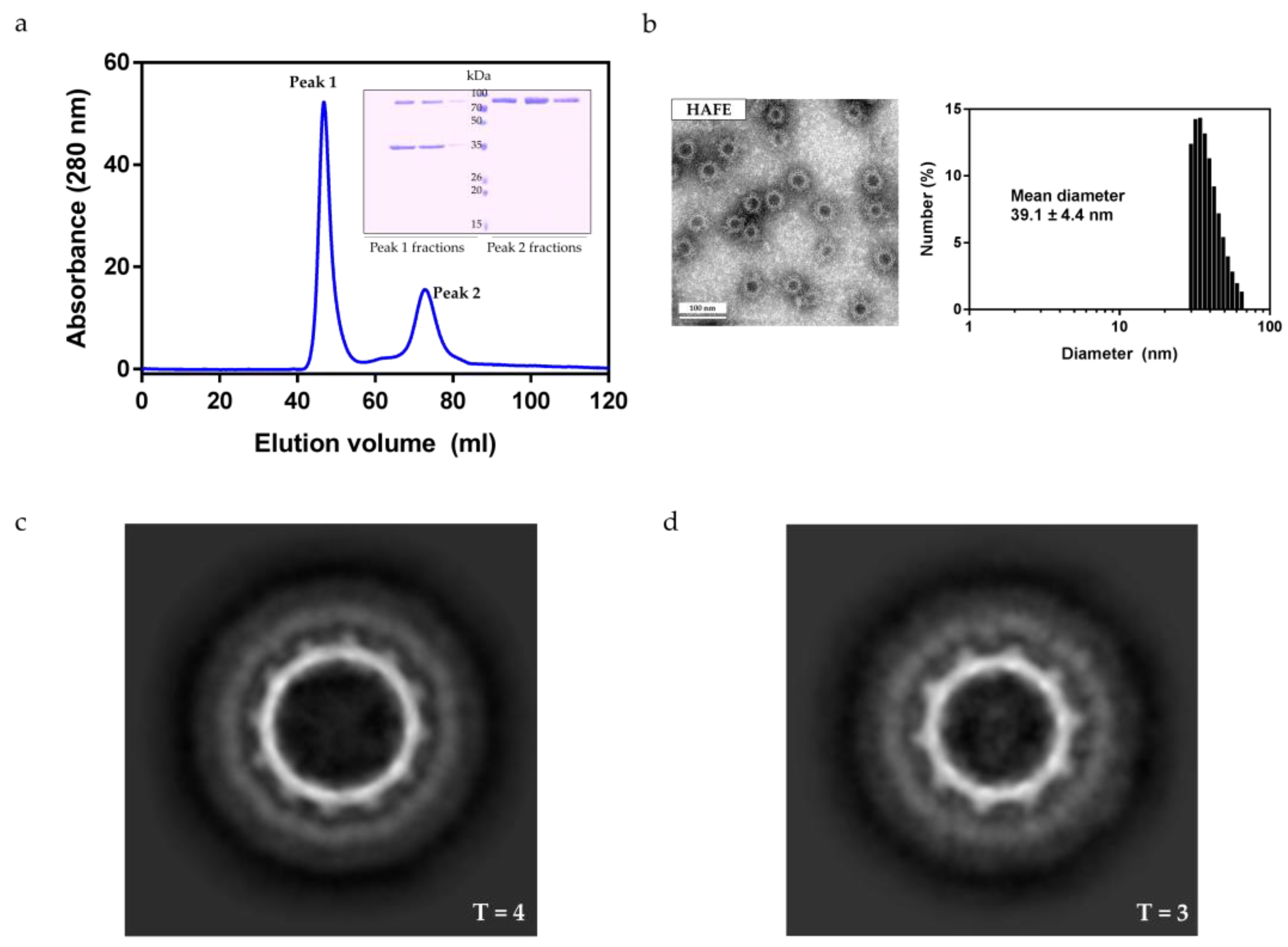 Ijms 22 09140 g004 550