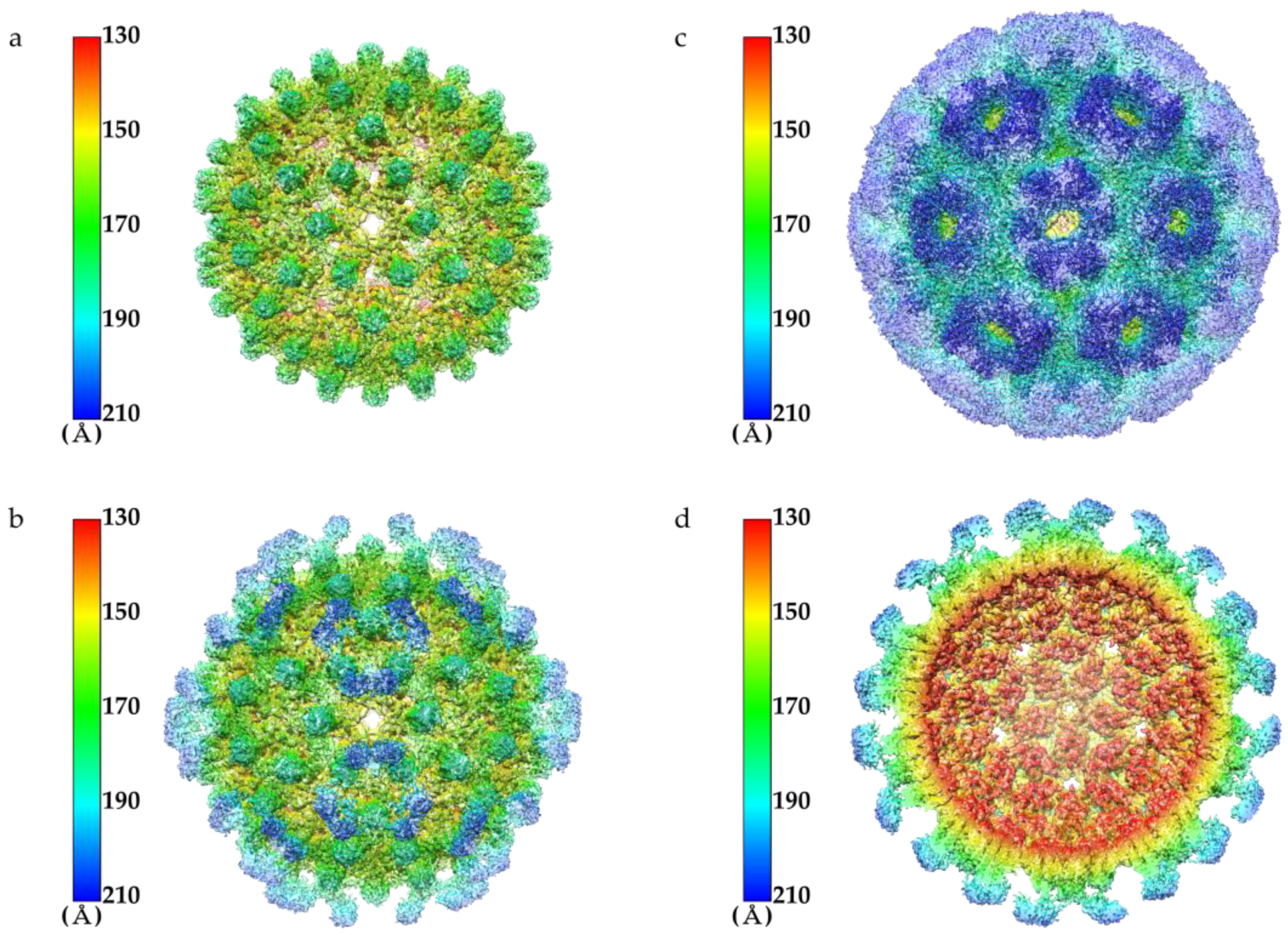 Ijms 22 09140 g005 550