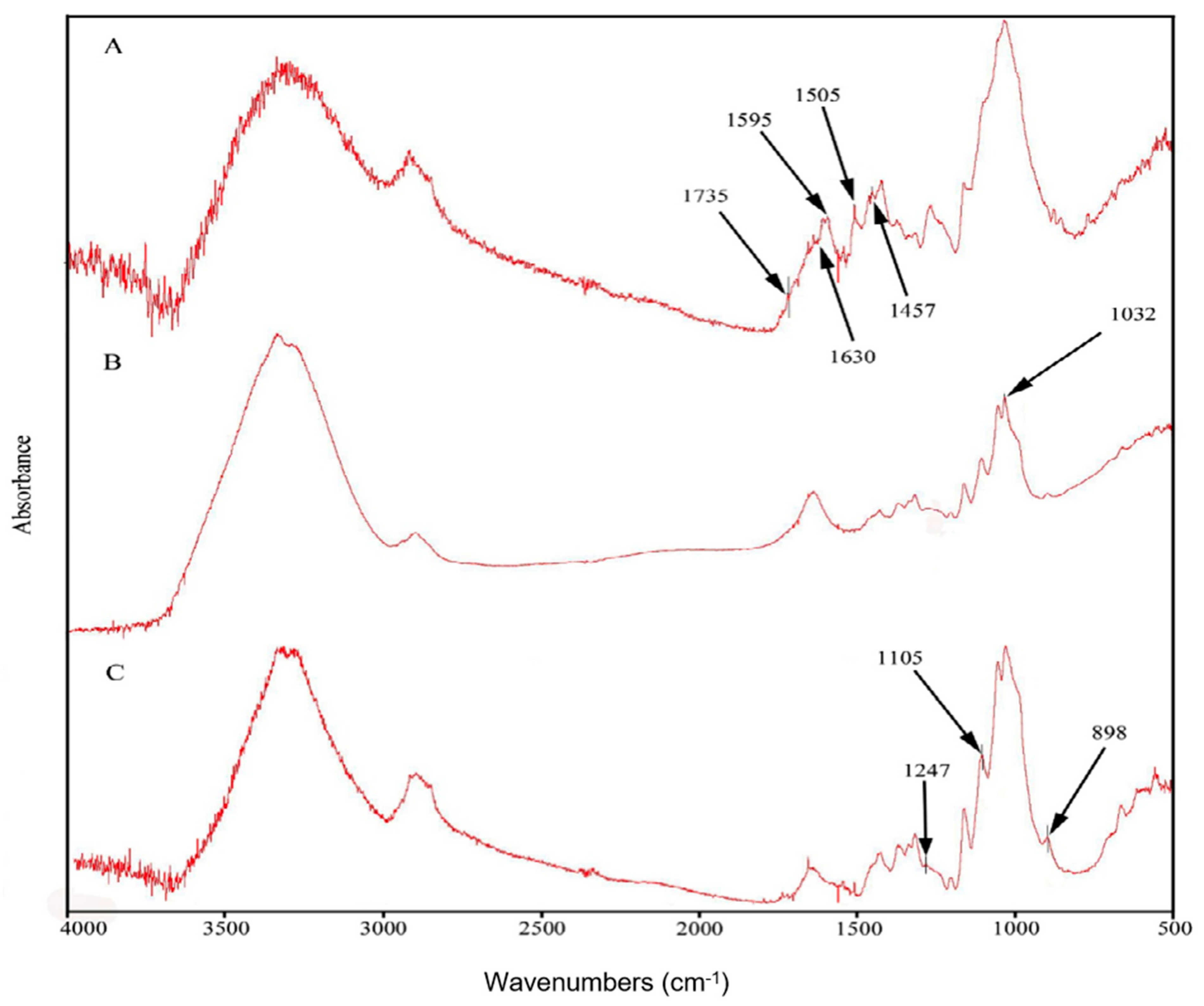 Ijms 22 09147 g002 550