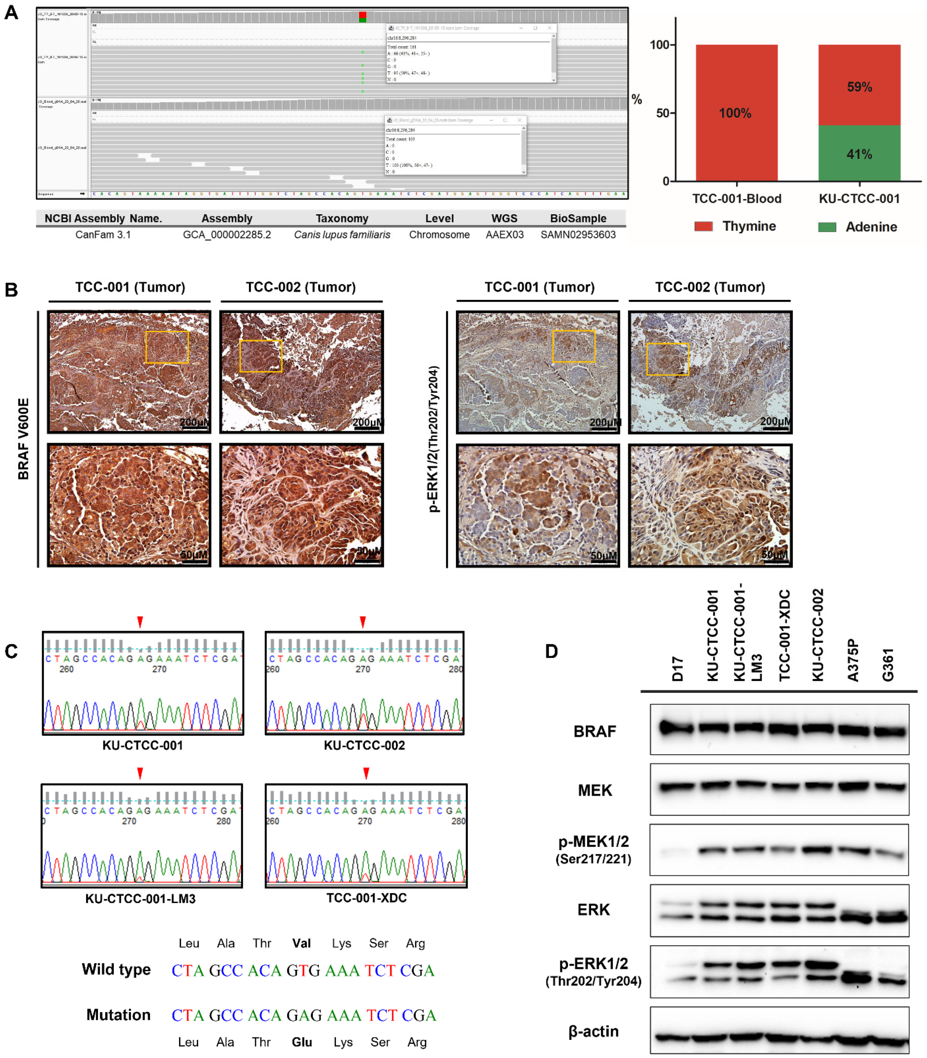 Ijms 22 09151 g002 550