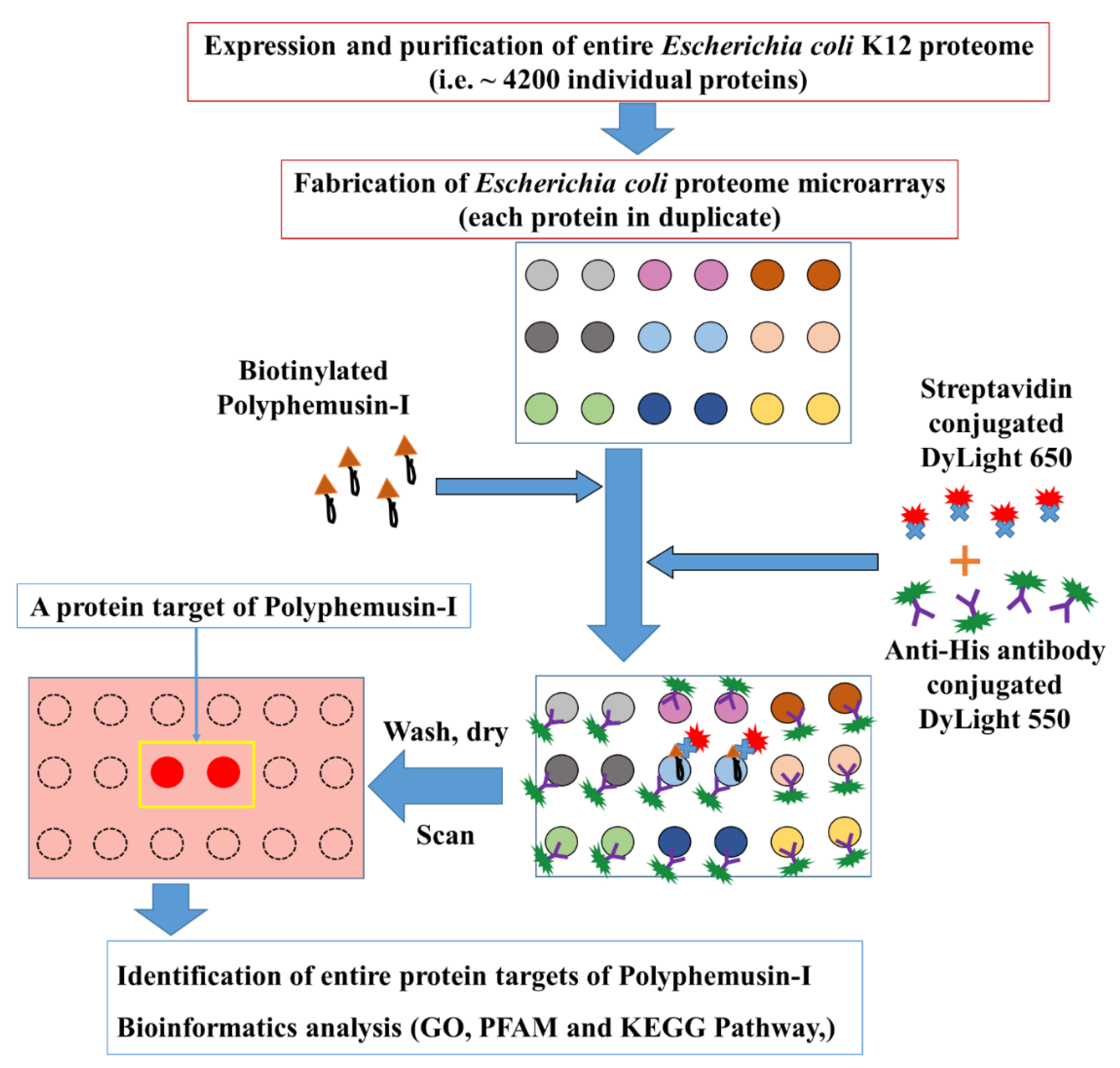 Ijms 22 09158 g001 550