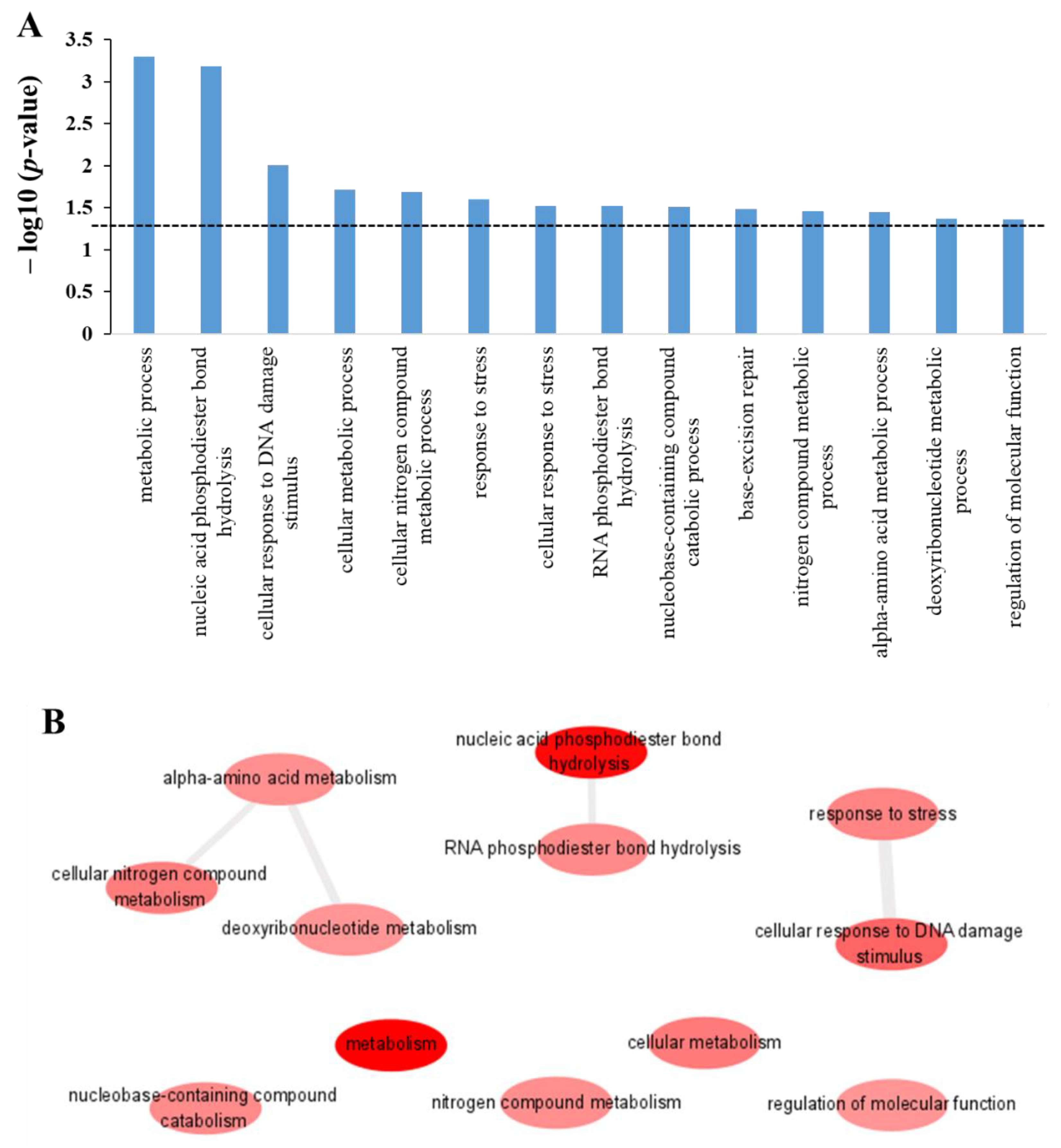 Ijms 22 09158 g004 550