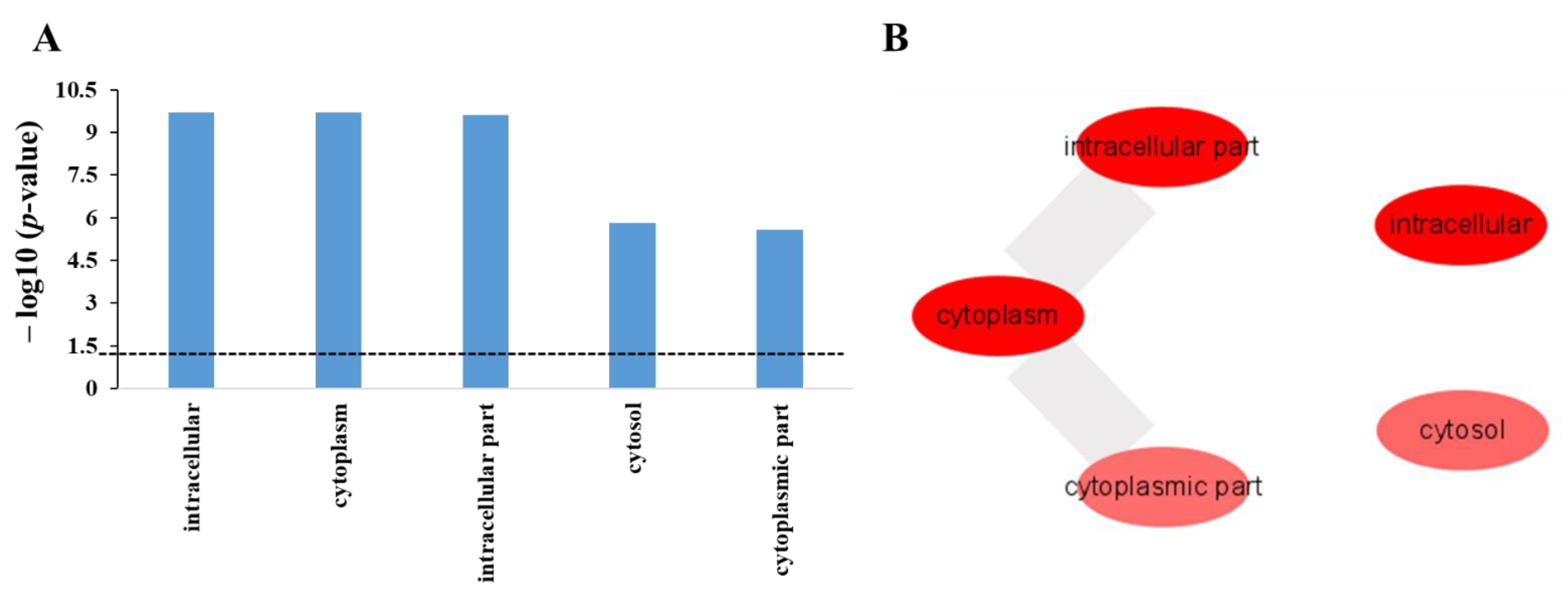 Ijms 22 09158 g005 550