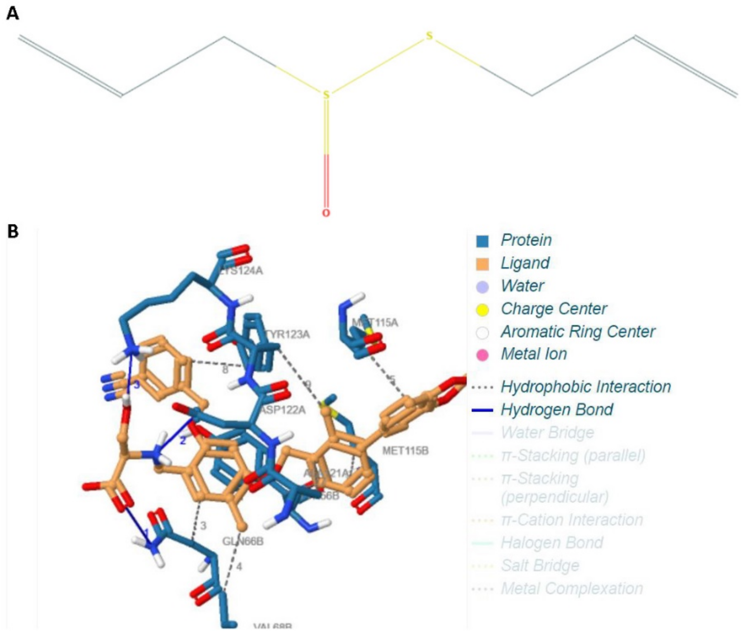 Ijms 22 09162 g001 550