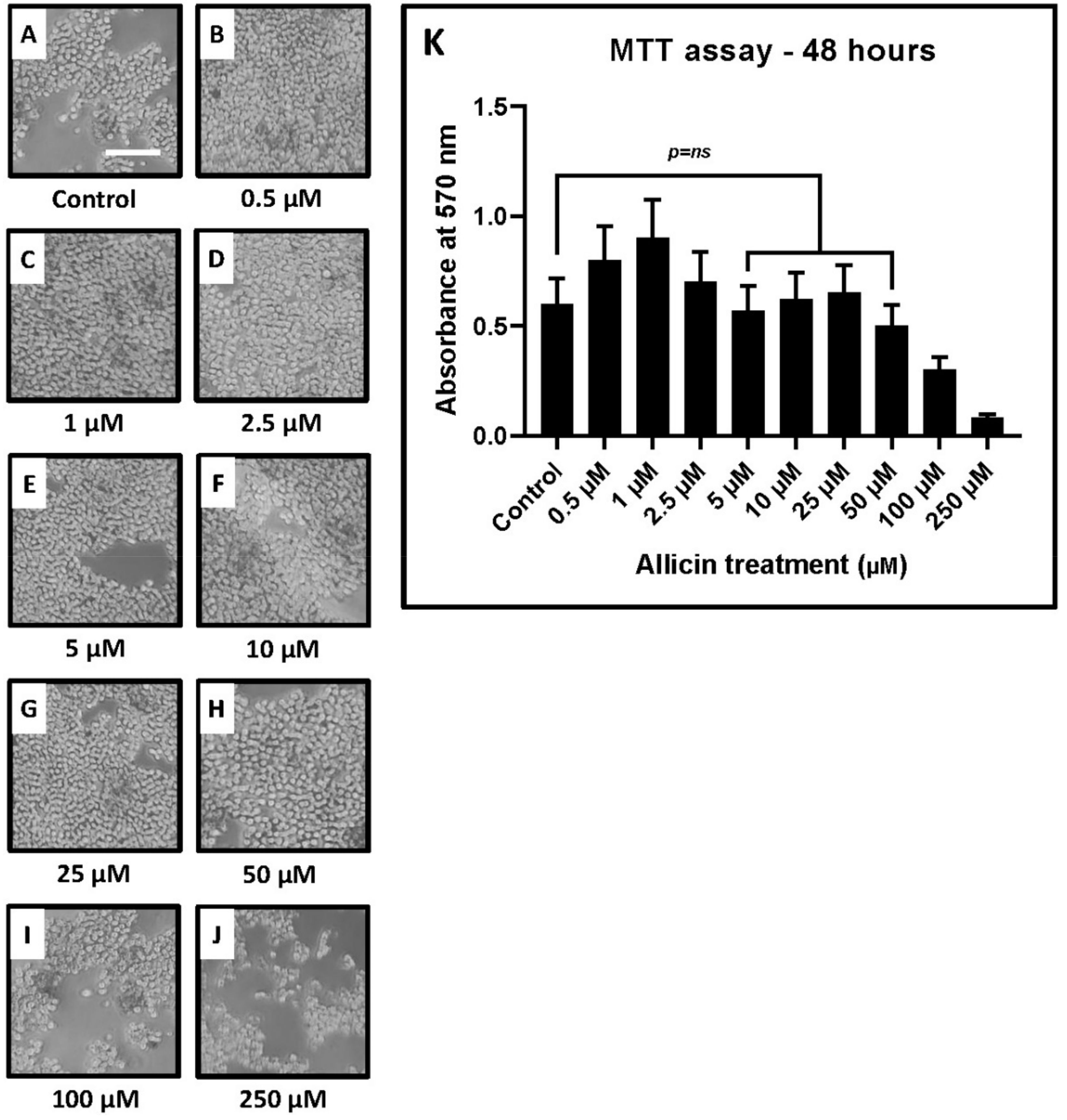 Ijms 22 09162 g003 550