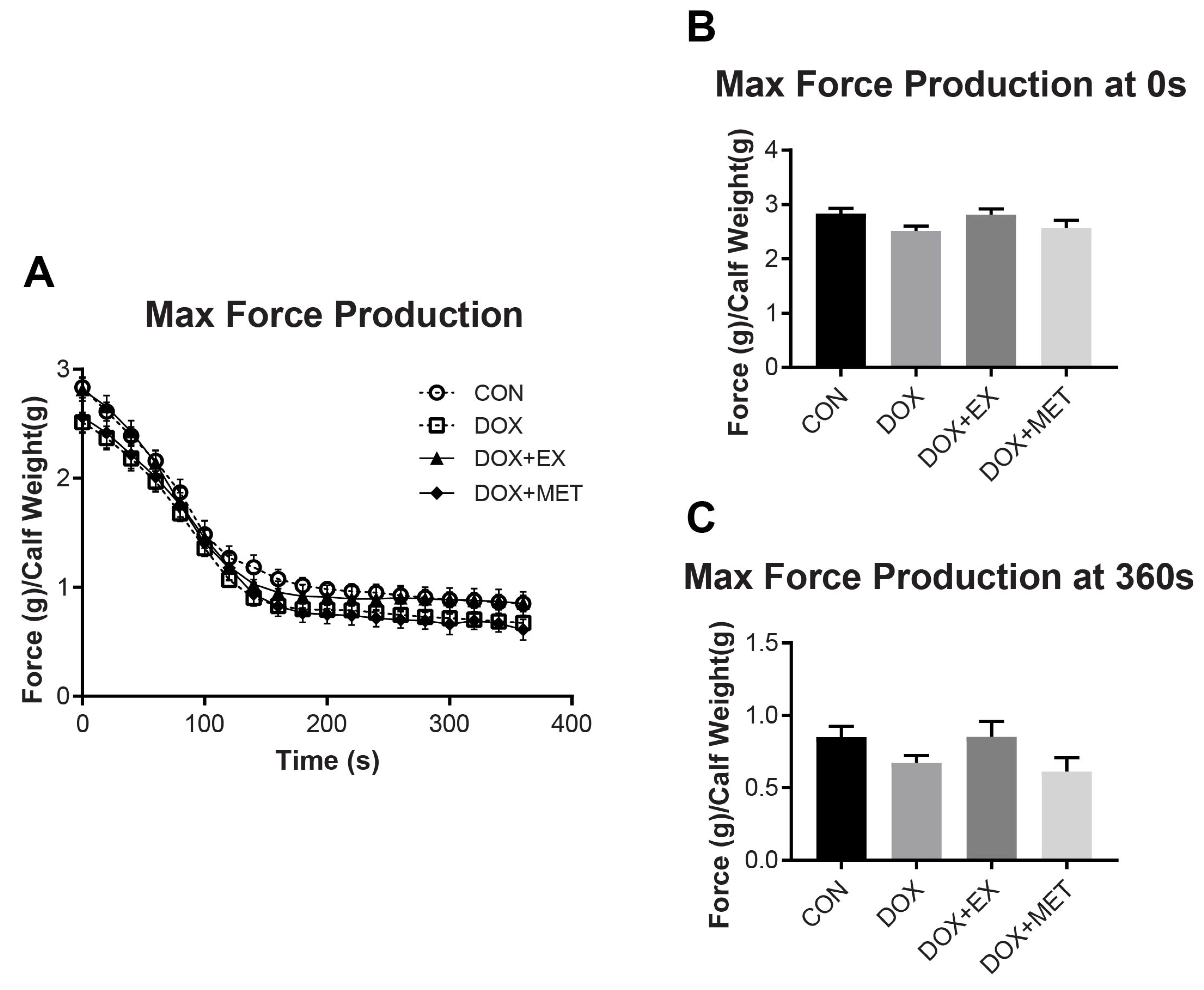 Ijms Free Full Text Exercise But Not Metformin Prevents Loss Of Muscle Function Due To Doxorubicin In Mice Using An In Situ Method Html Ijms Free Full Text Exercise But Not Metformin Prevents Loss Of Muscle Function Due To Doxorubicin In Mice Using An In Situ Method Html