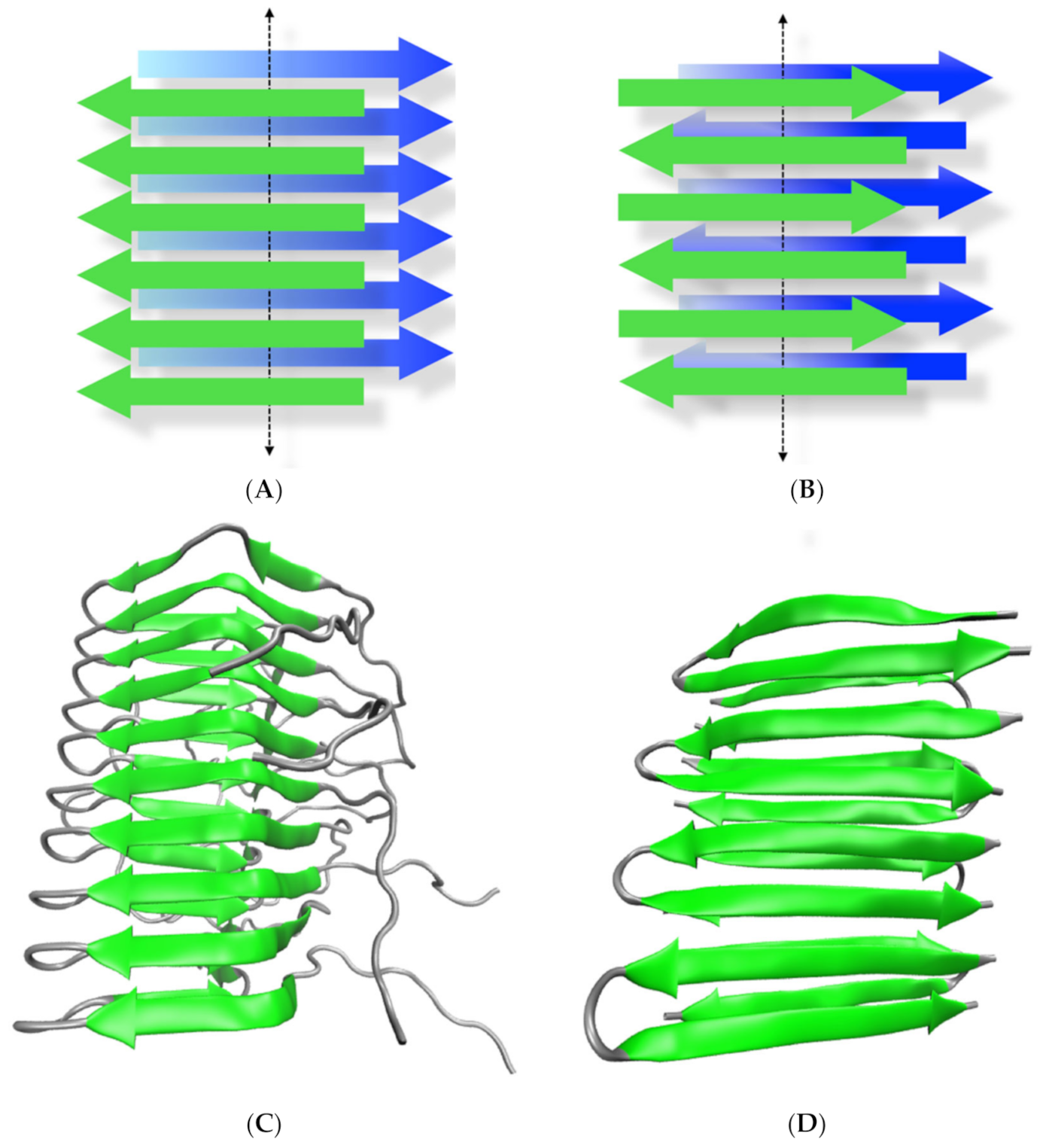 IJMS | Free Full-Text | Catalytic Amyloids as Novel Synthetic Hydrolases