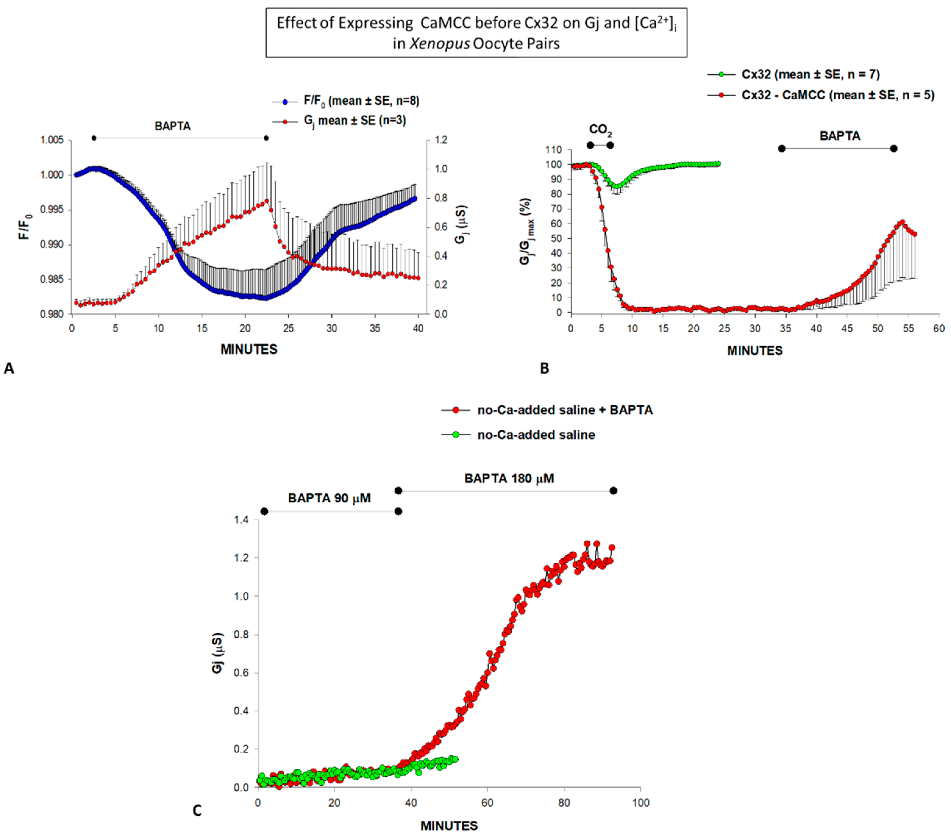 Ijms 22 09169 g002 Ijms 22 09169 g002
