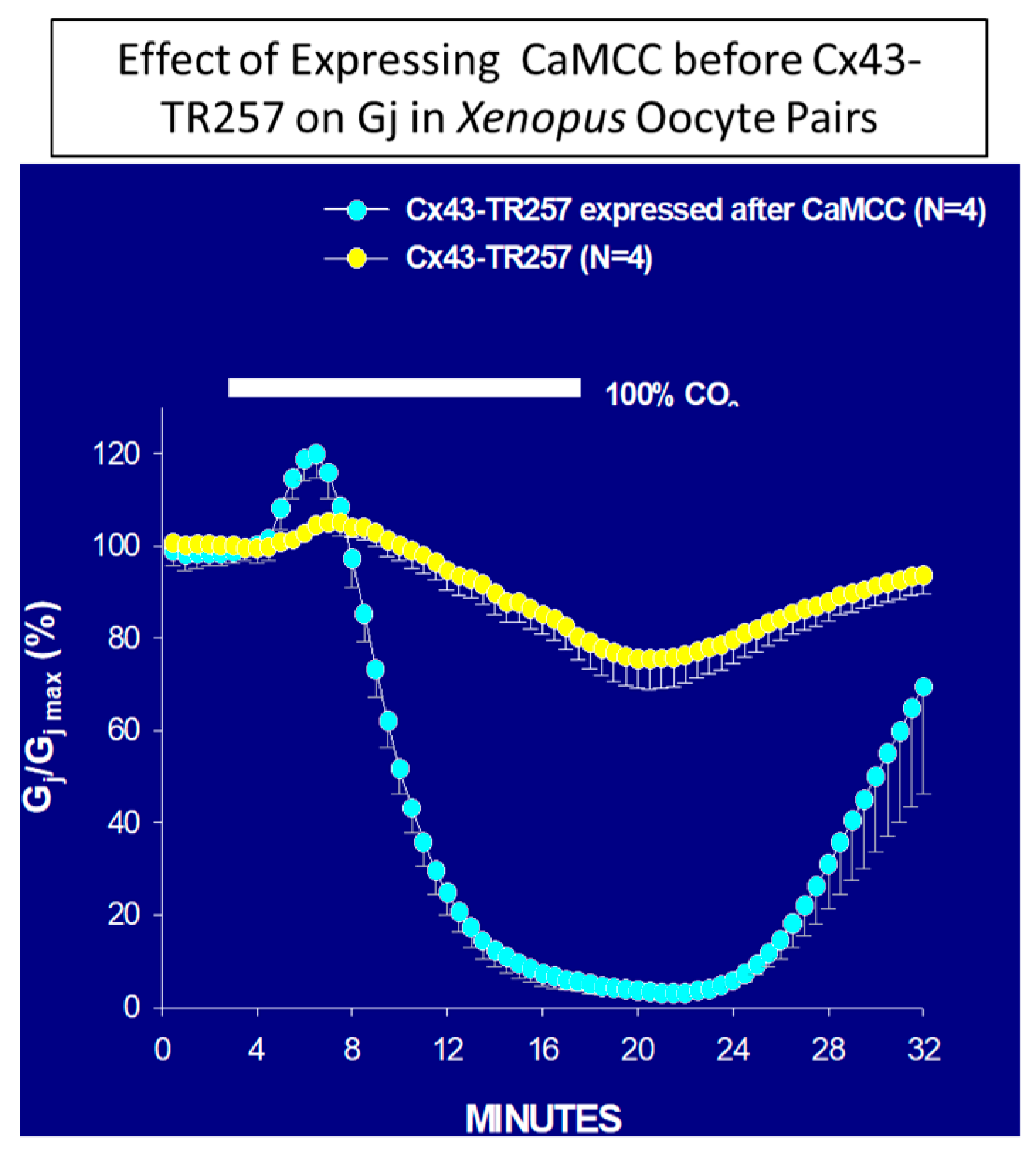 Ijms 22 09169 g004 Ijms 22 09169 g004