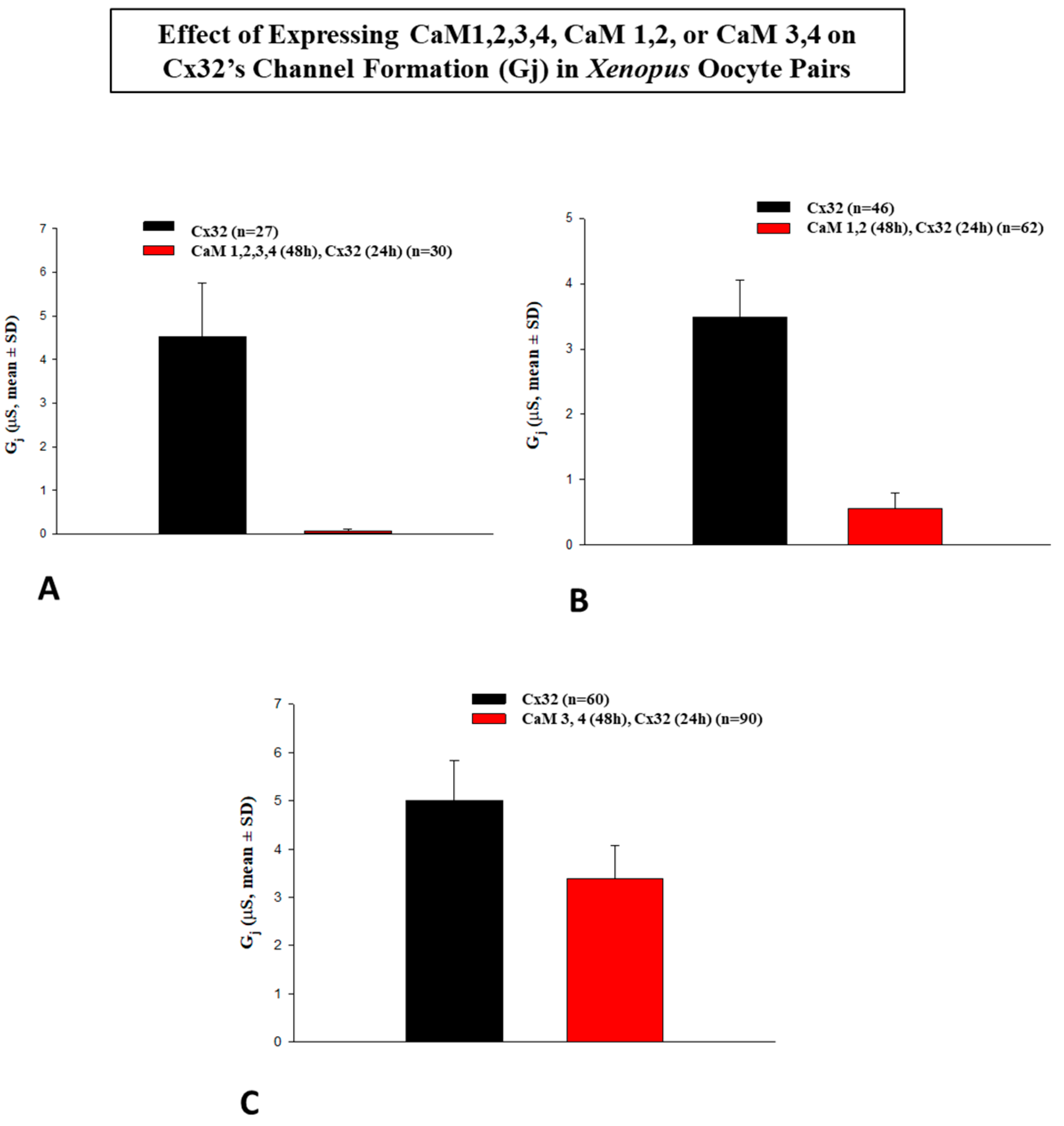 Ijms 22 09169 g006 Ijms 22 09169 g006