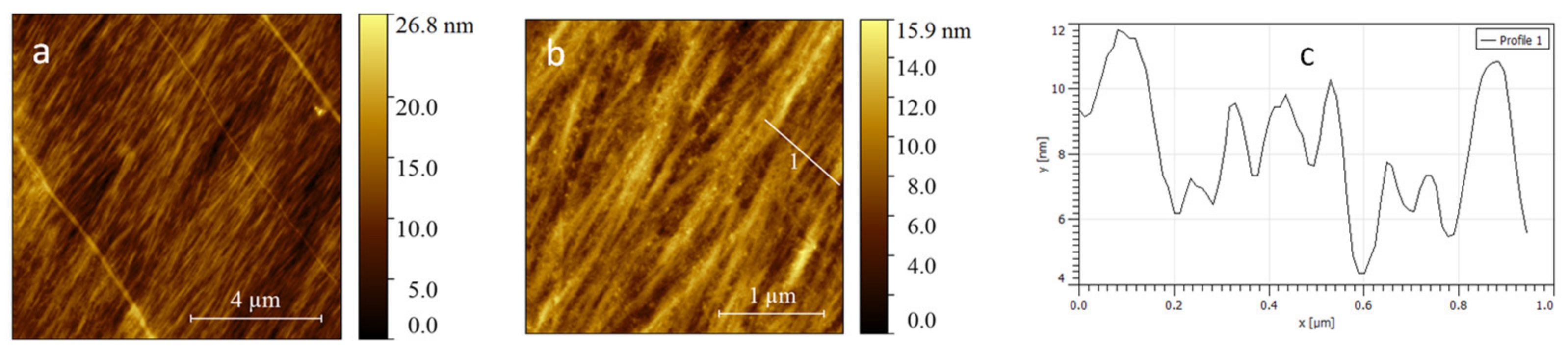 Ijms 22 09179 g005 550