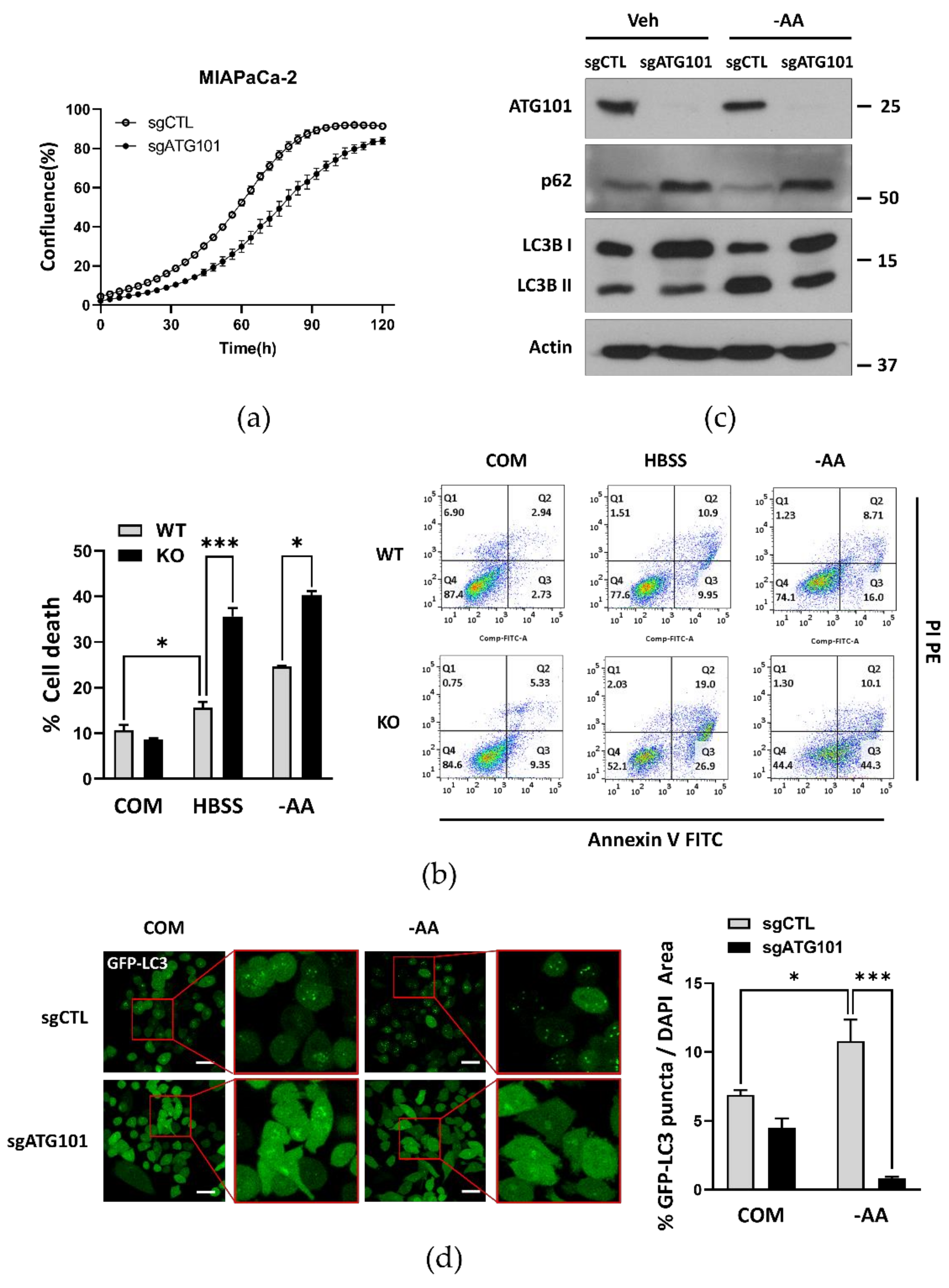 Ijms 22 09182 g001 550