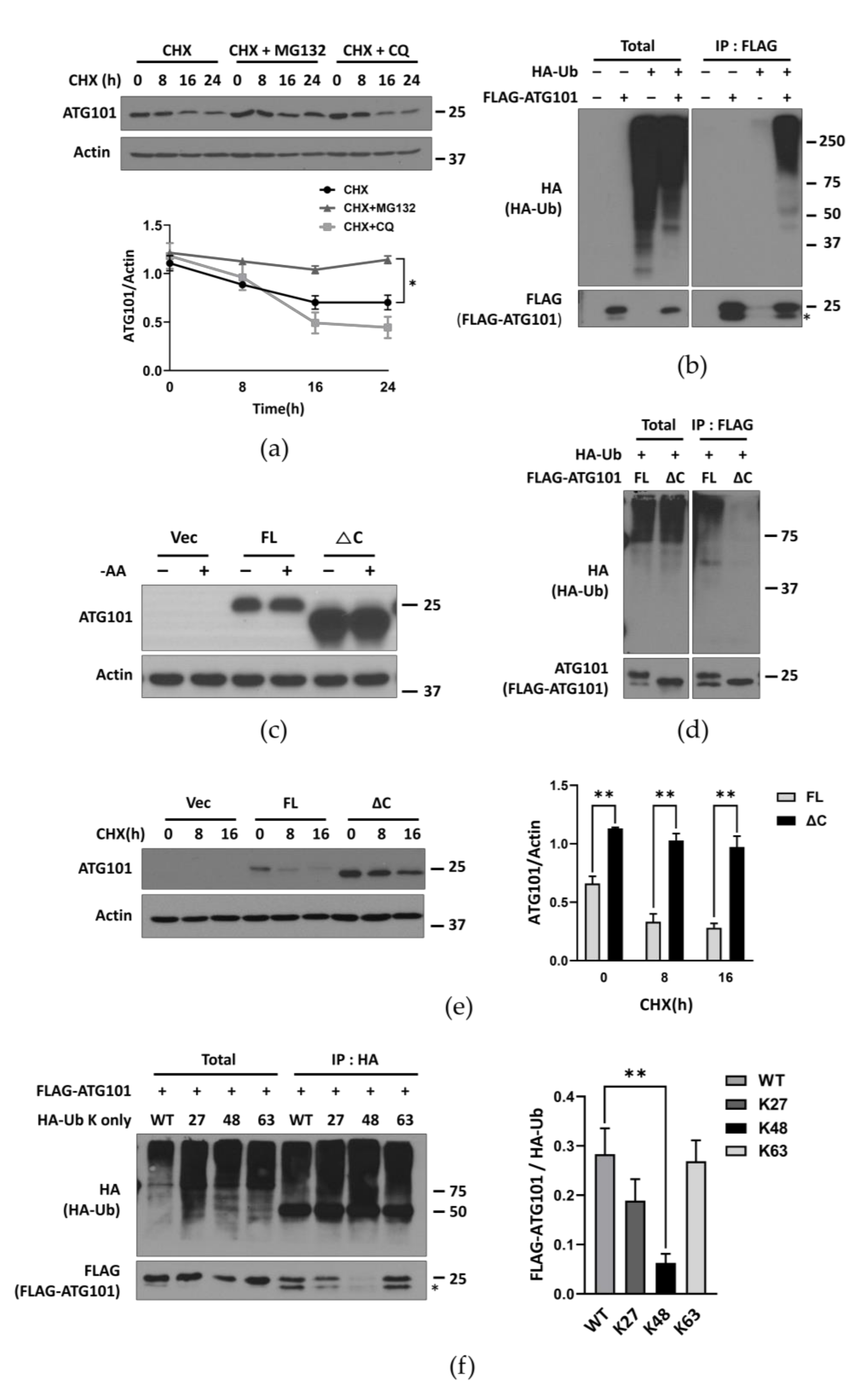 Ijms 22 09182 g002 550