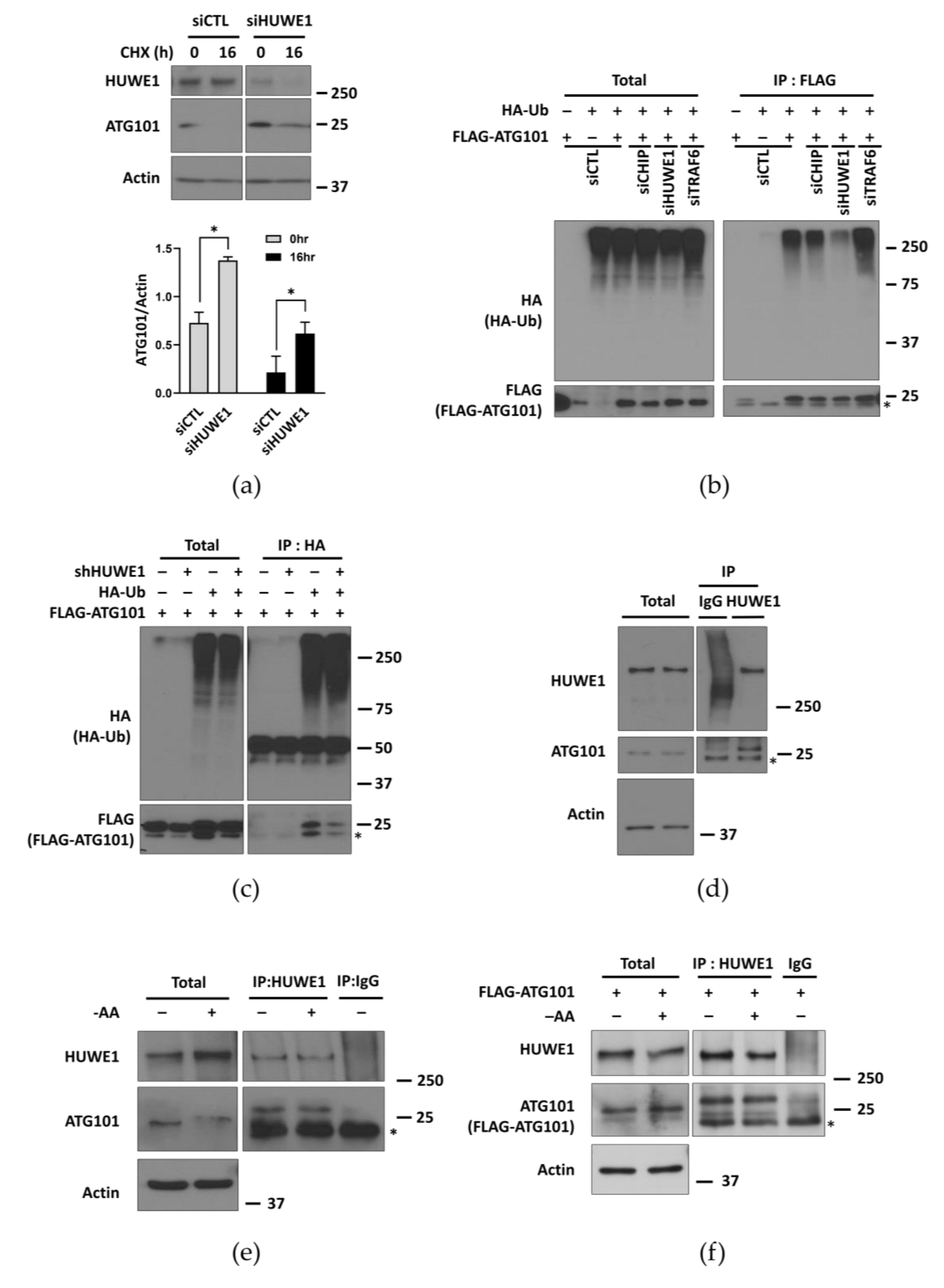 Ijms 22 09182 g003 550
