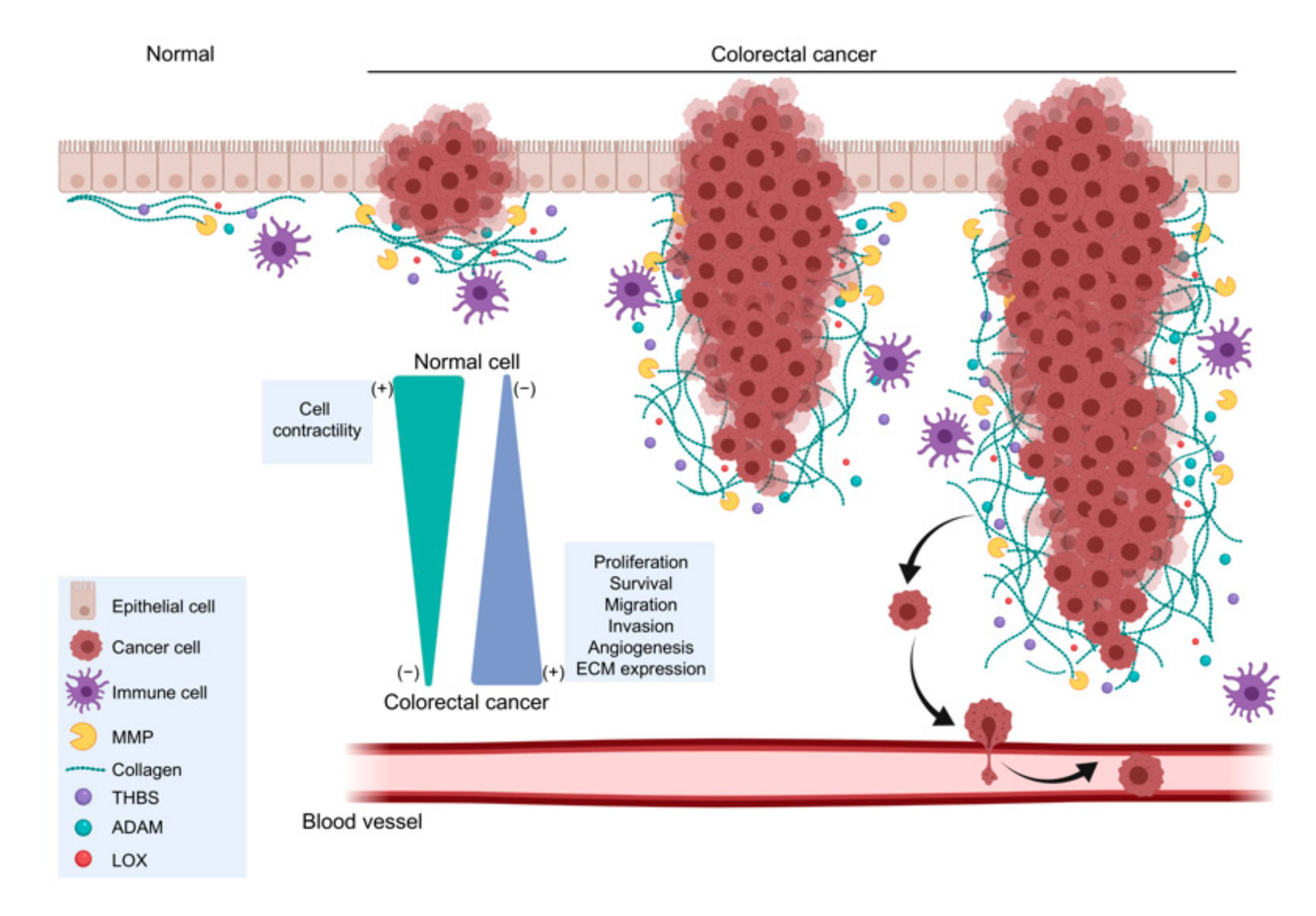 Ijms 22 09185 g001 Ijms 22 09185 g001
