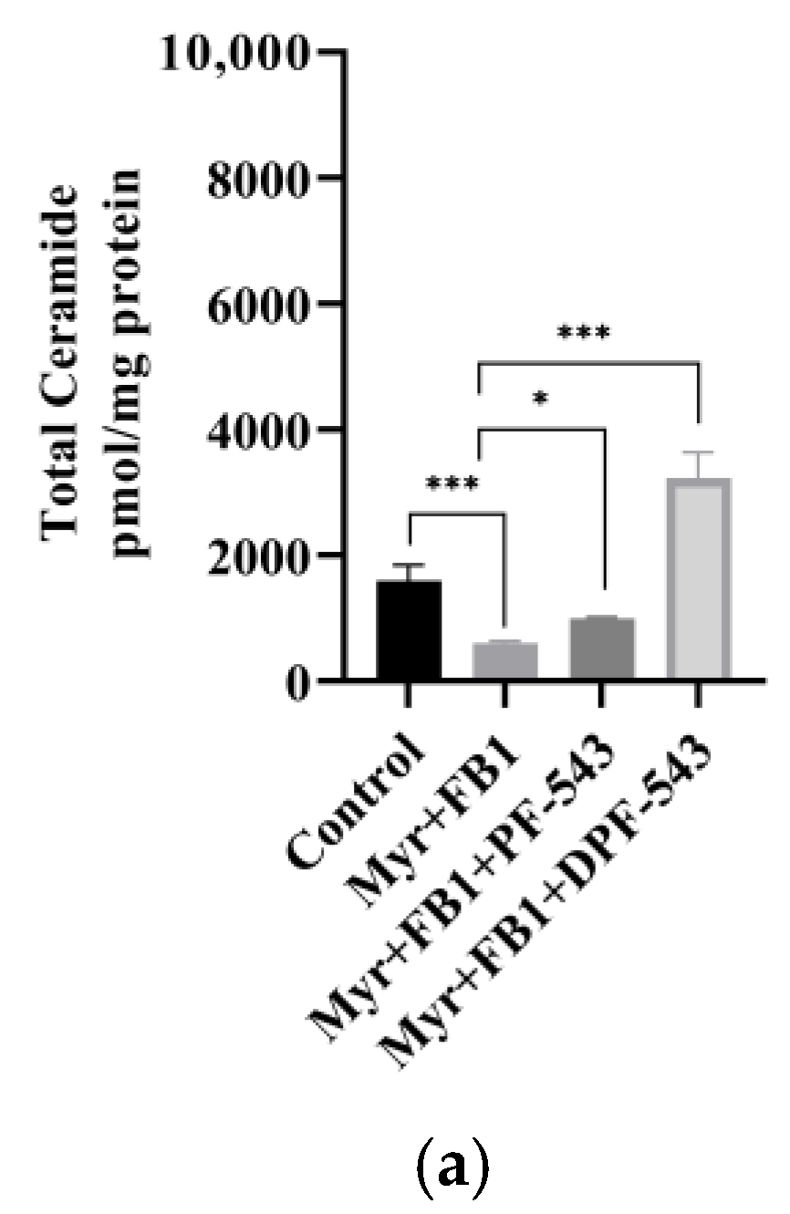 Ijms 22 09190 g009a 550