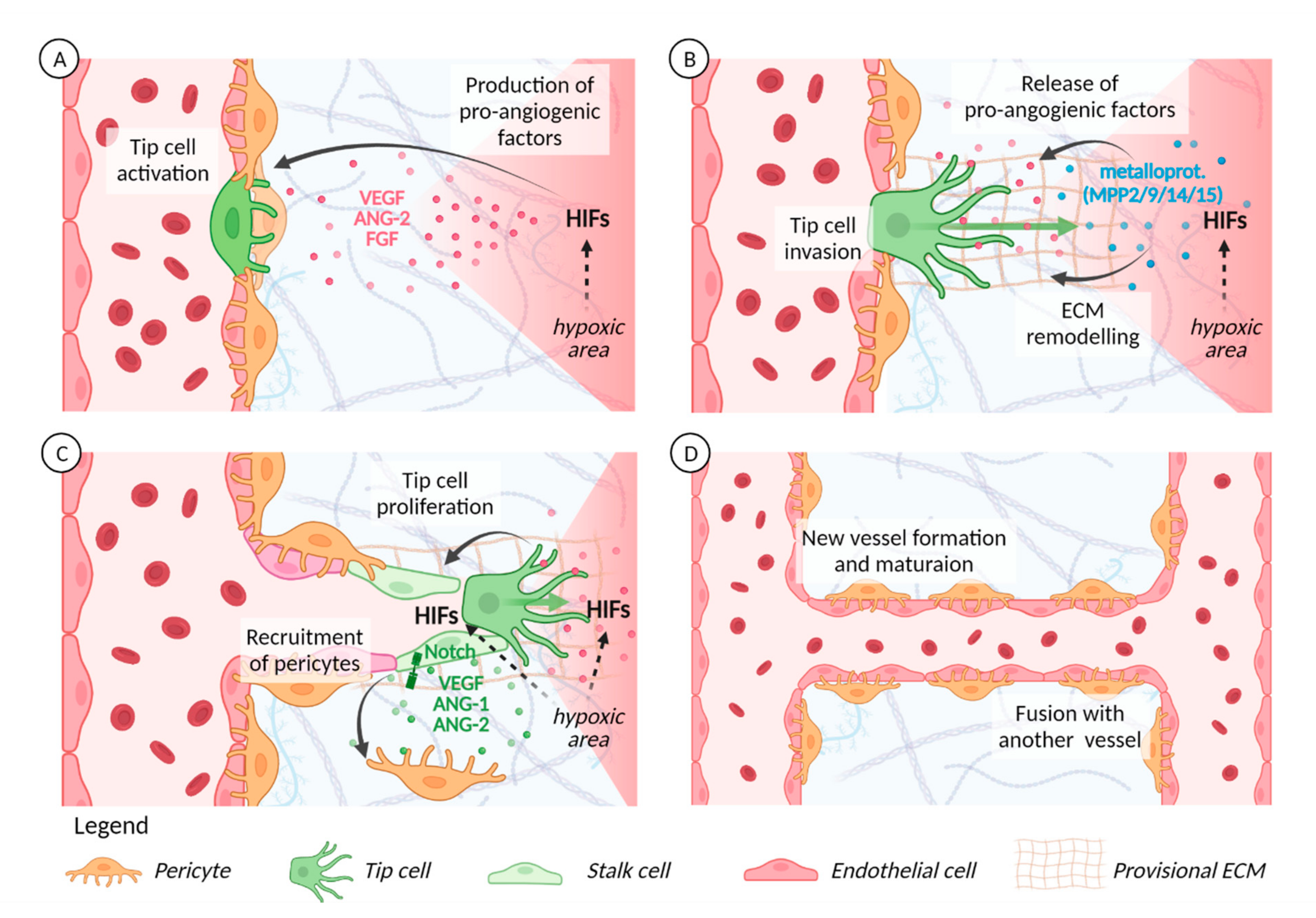 Ijms 22 09191 g002 Ijms 22 09191 g002