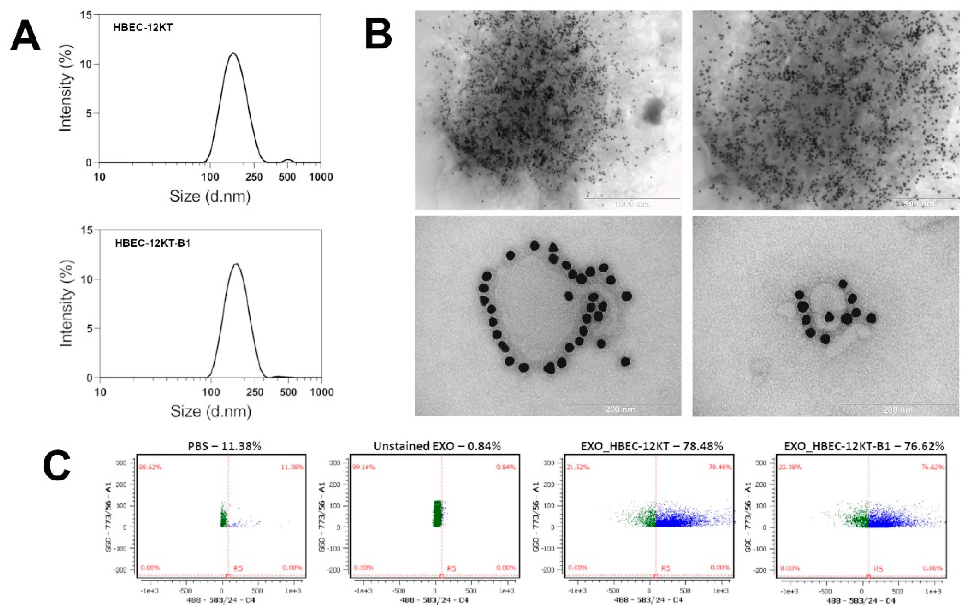 Ijms 22 09195 g001 550
