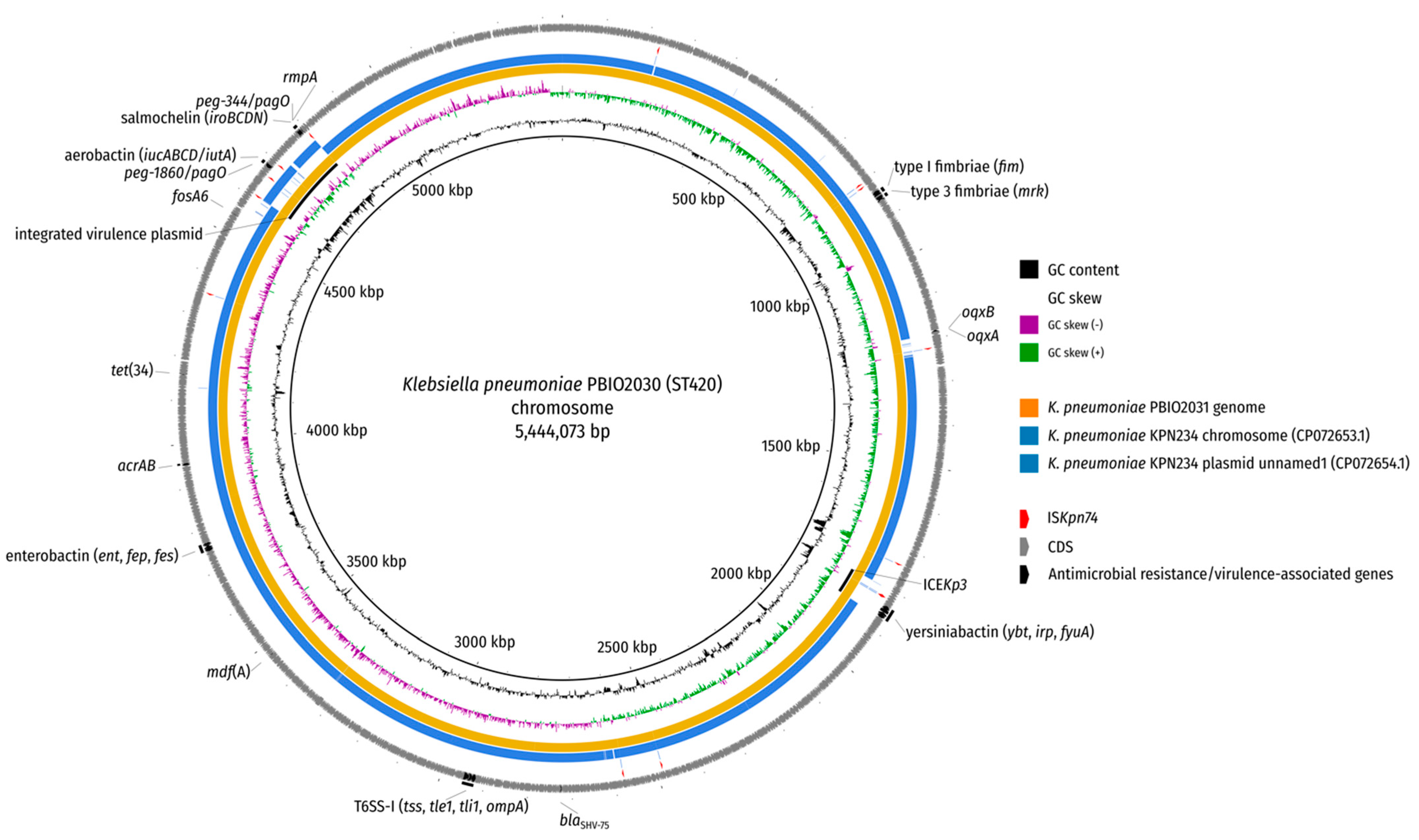 Ijms 22 09196 g002 550