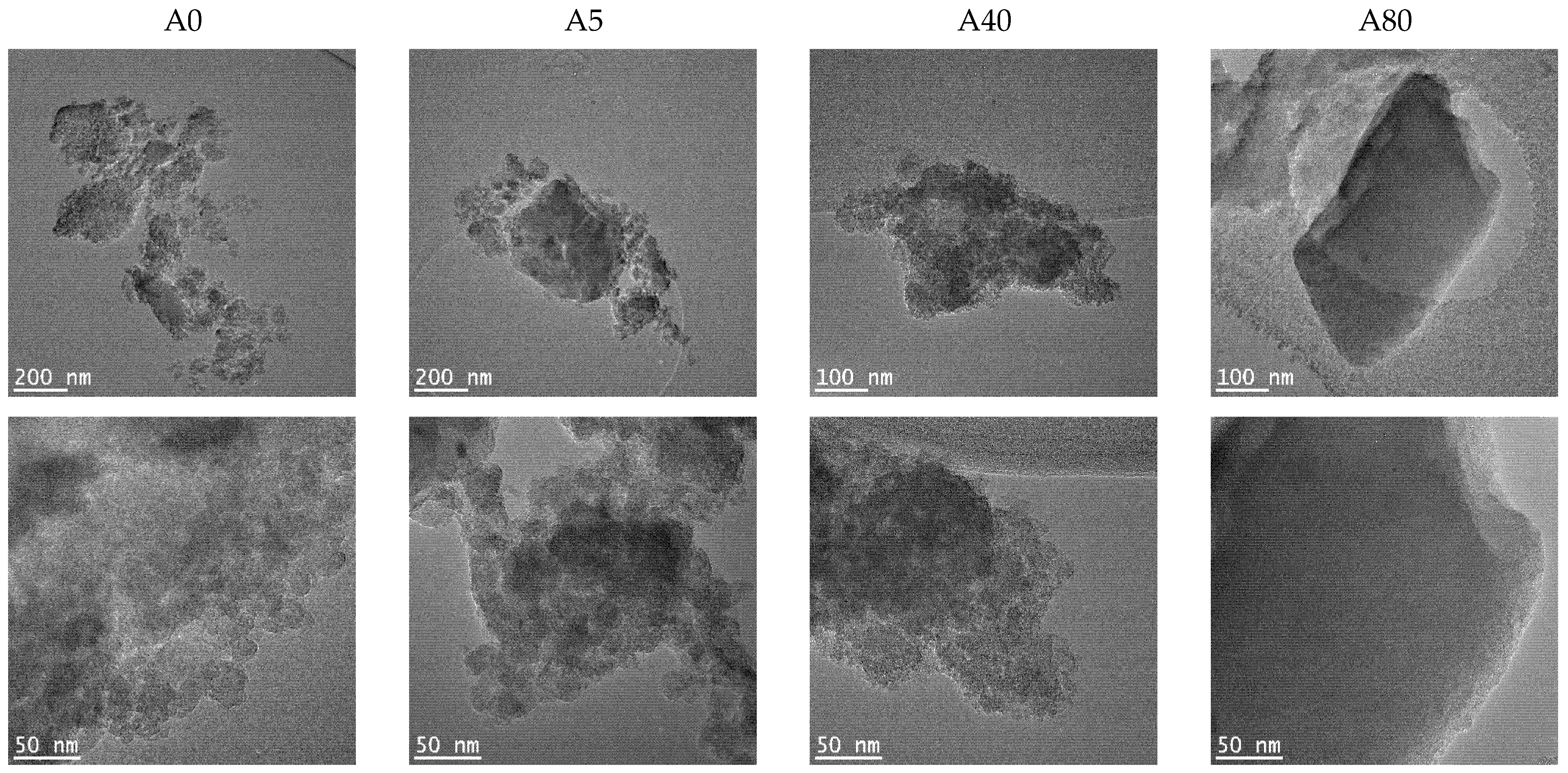 Ijms 22 09197 g004a 550