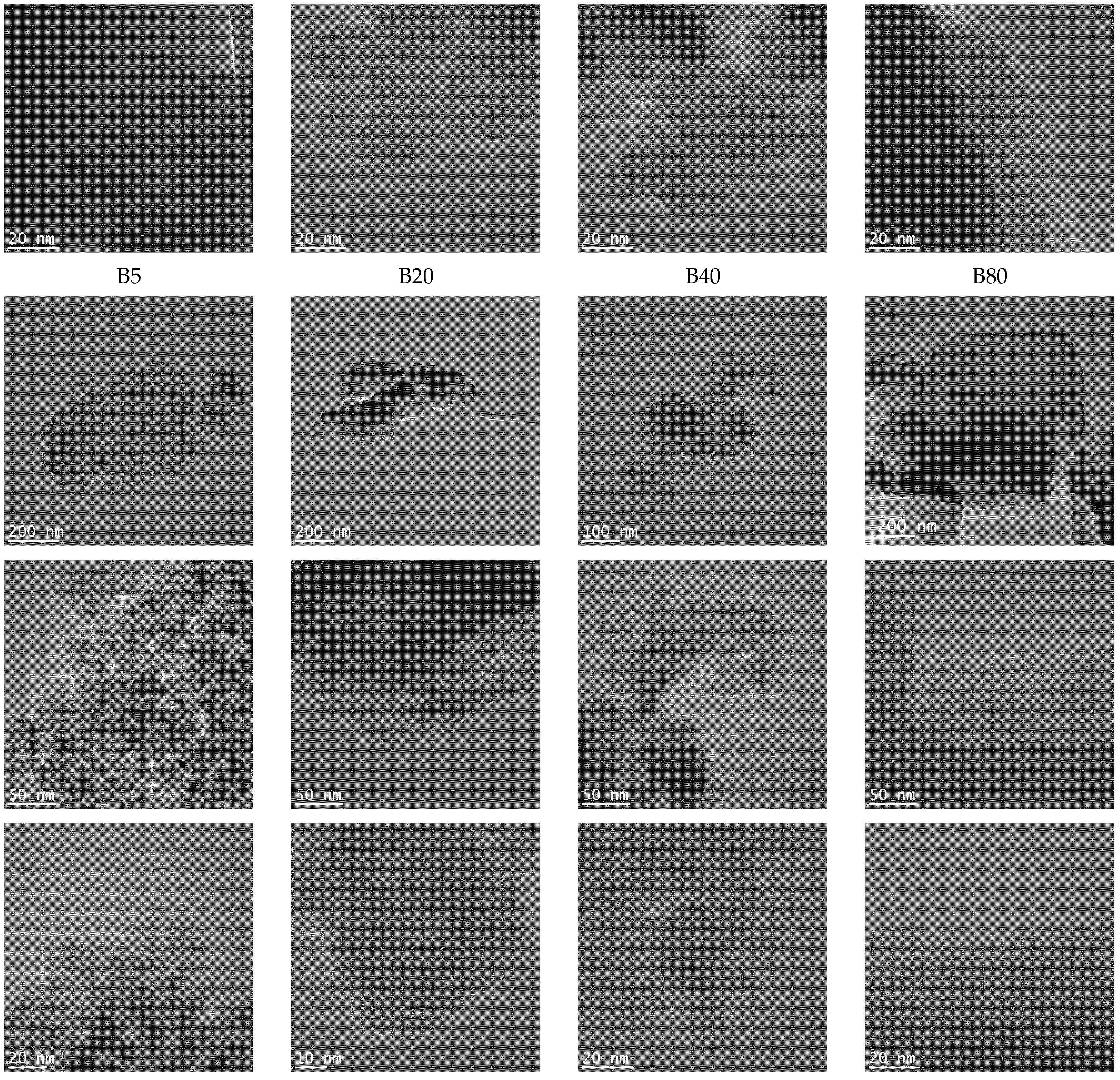 Ijms 22 09197 g004b 550