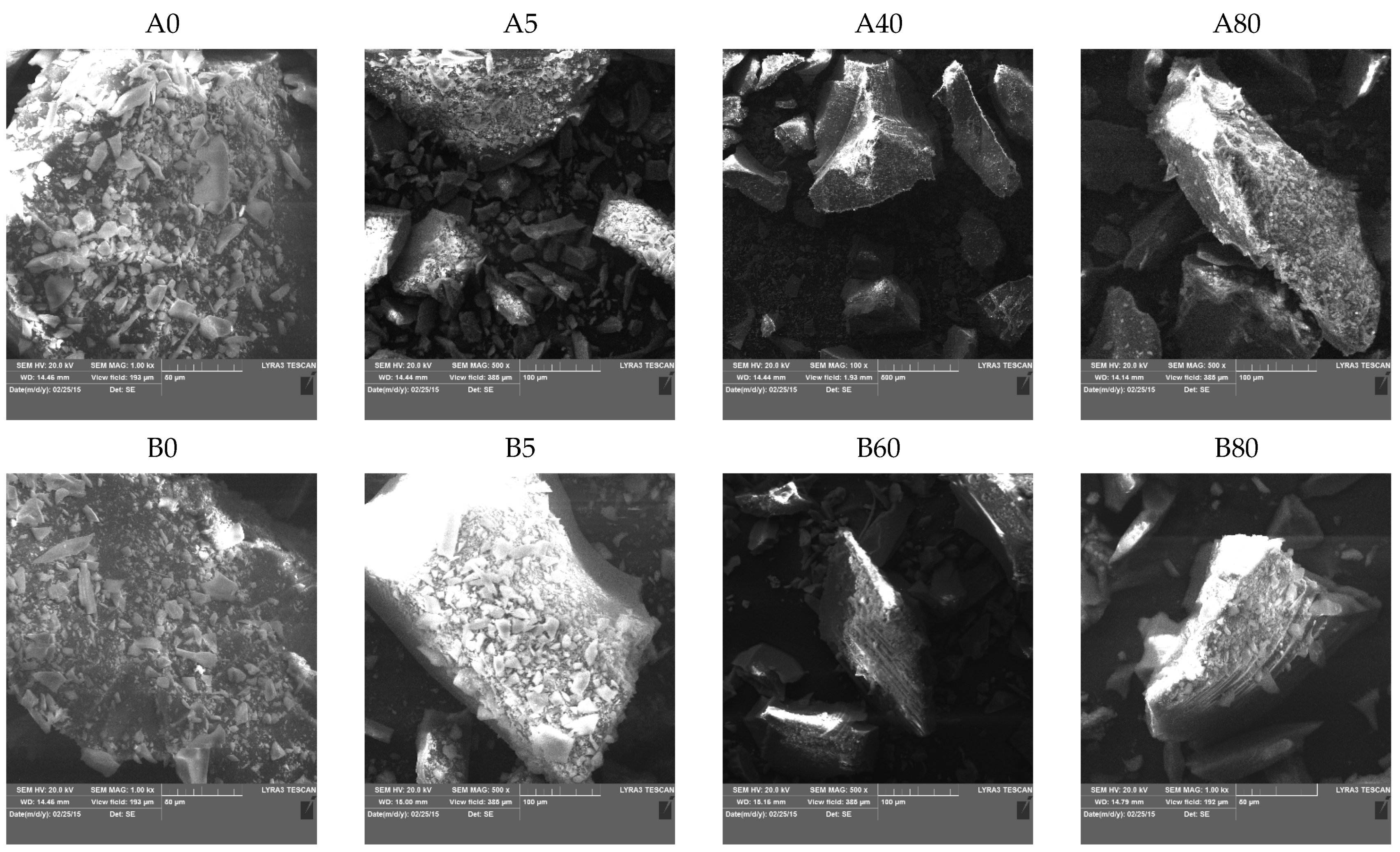 Ijms 22 09197 g005 550