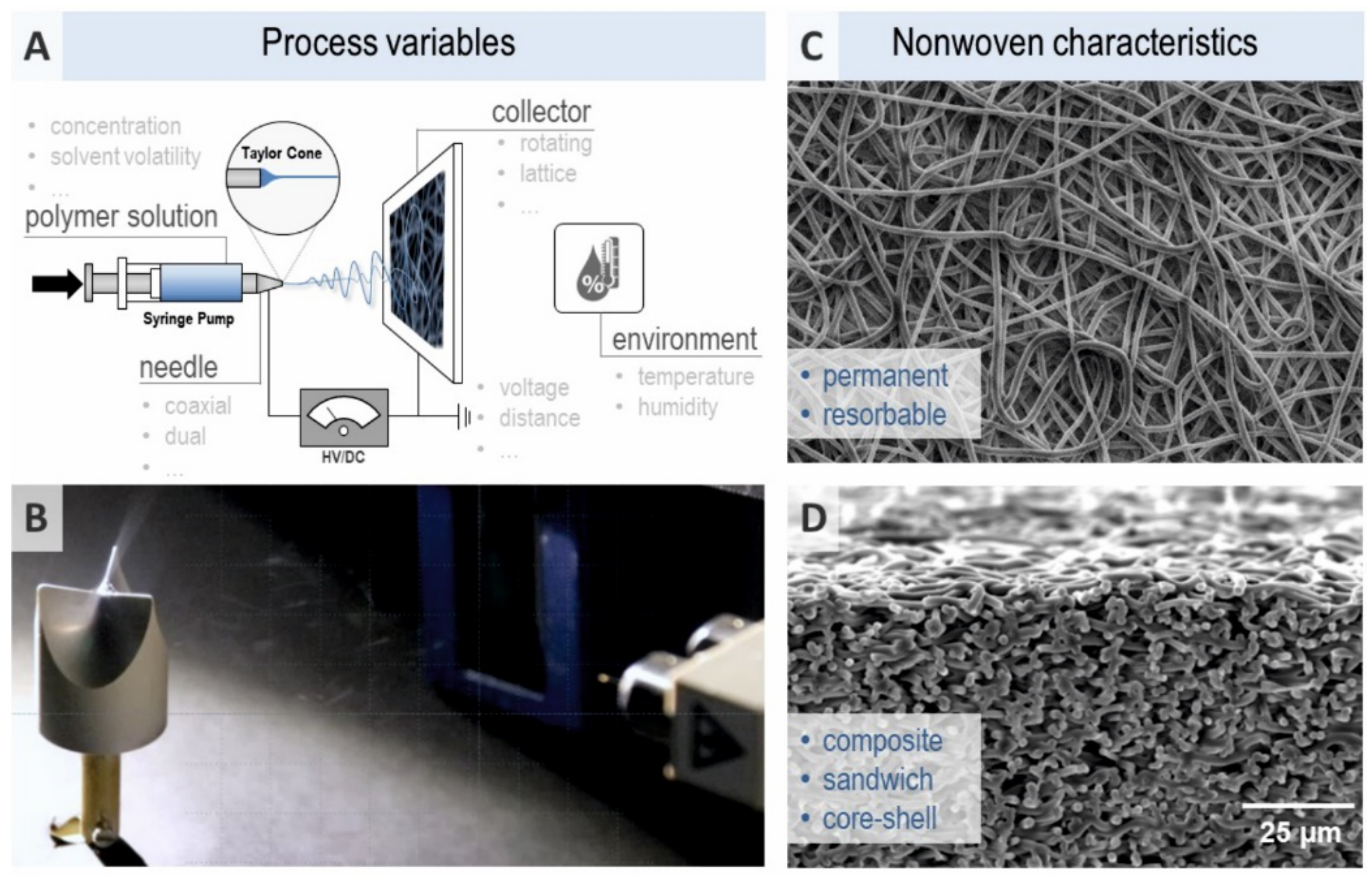 Ijms 22 09199 g004 Ijms 22 09199 g004