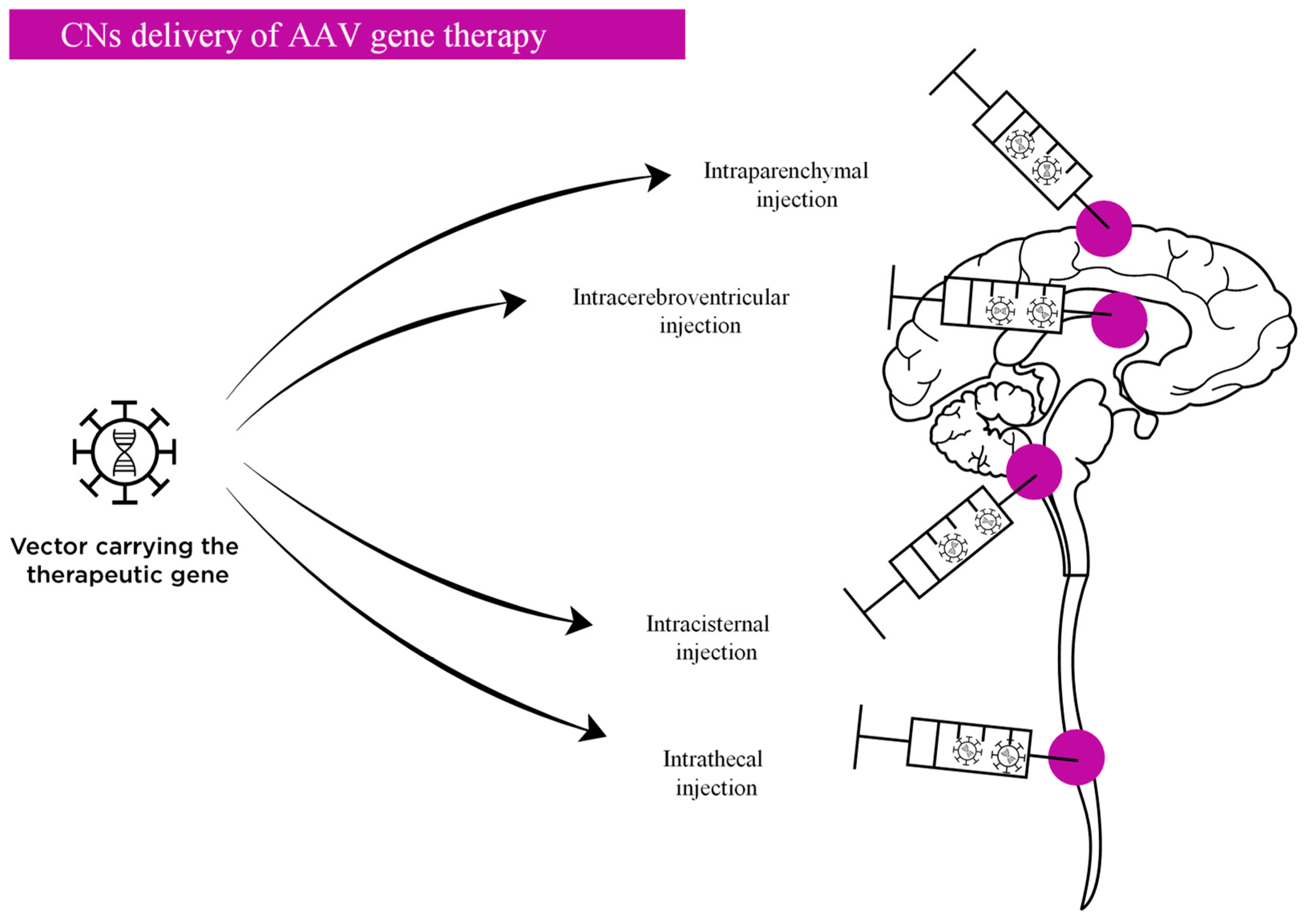 Ijms 22 09200 g002 550