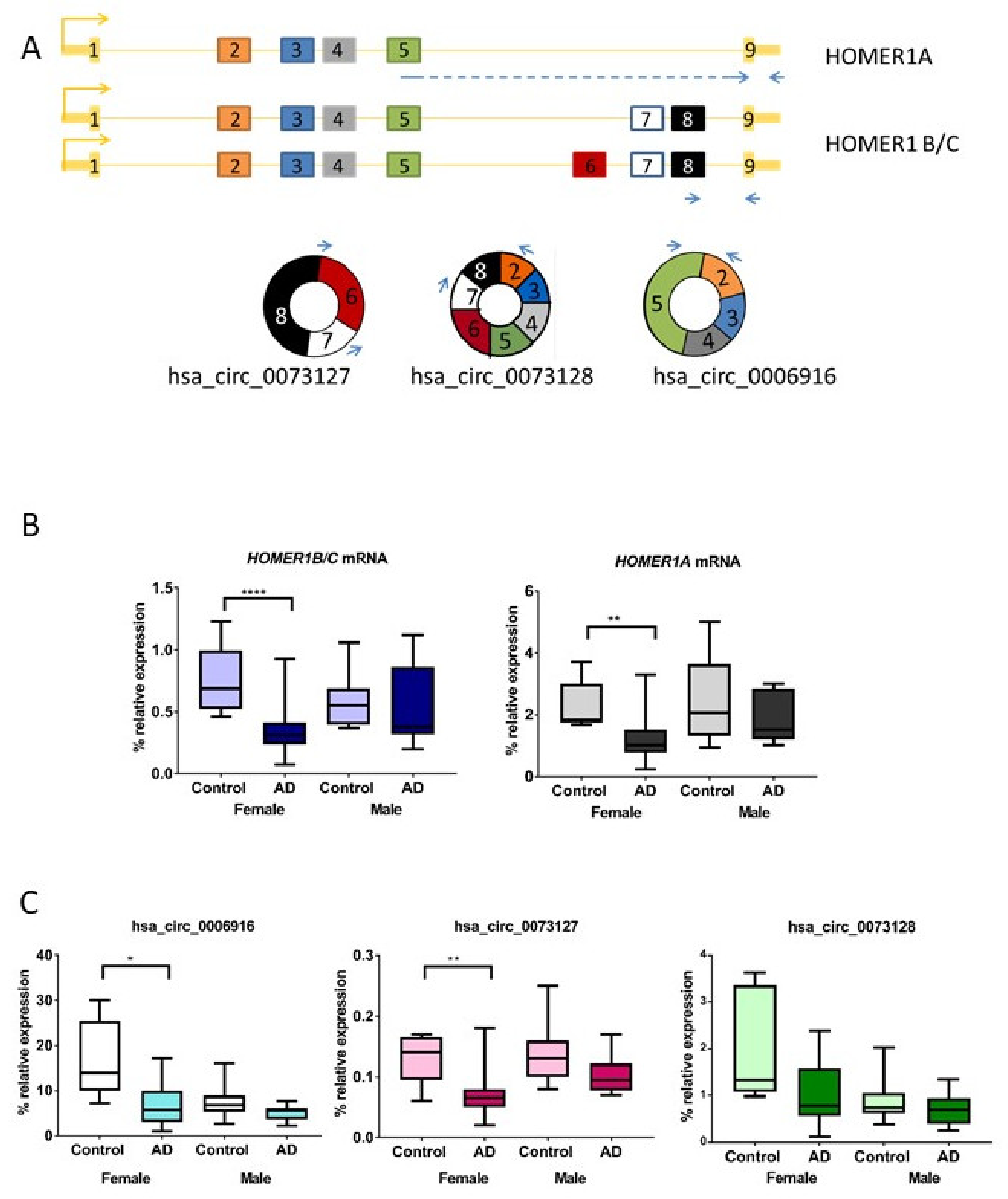 Ijms 22 09205 g001 550