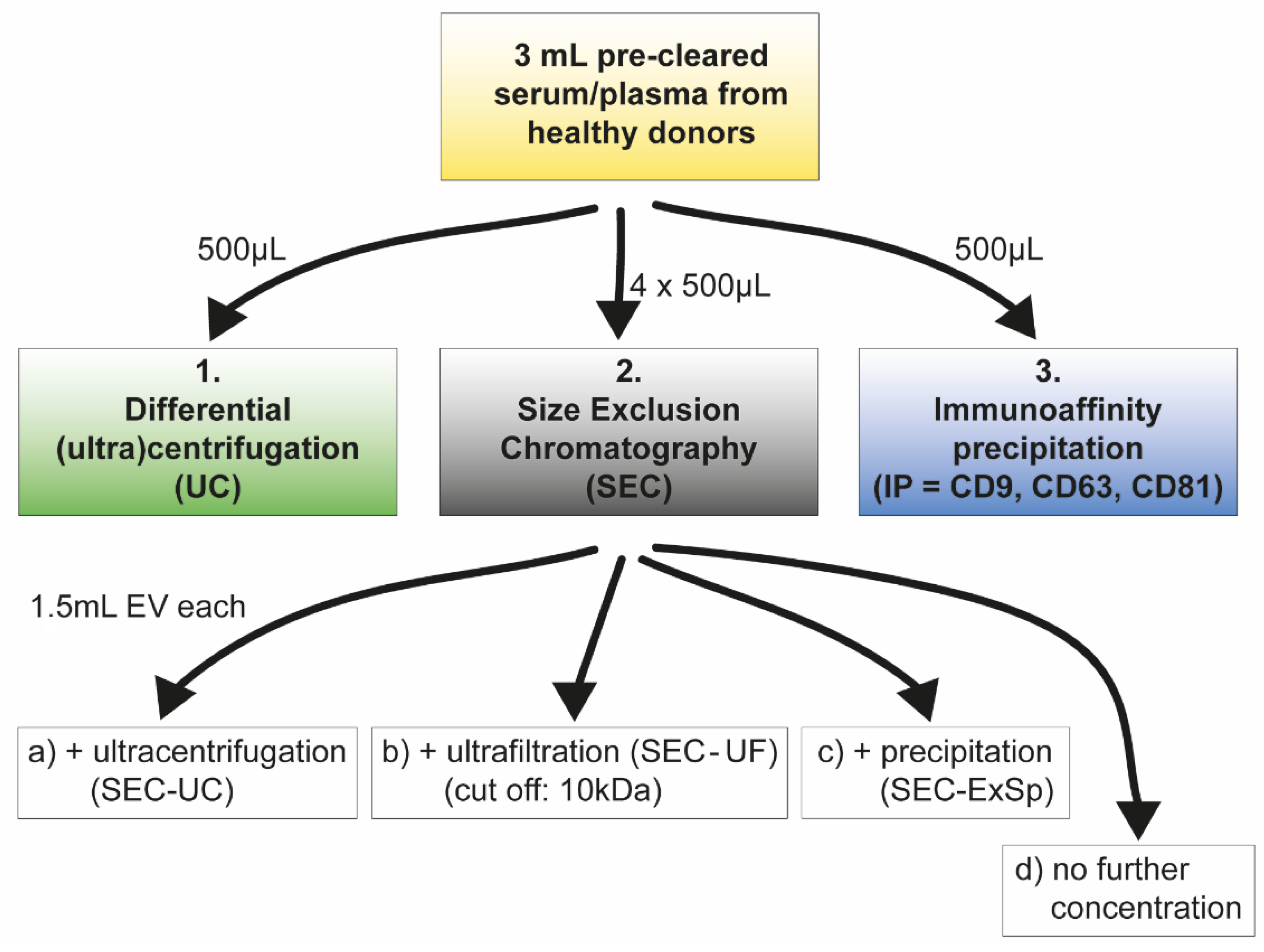 Ijms 22 09211 g001 550