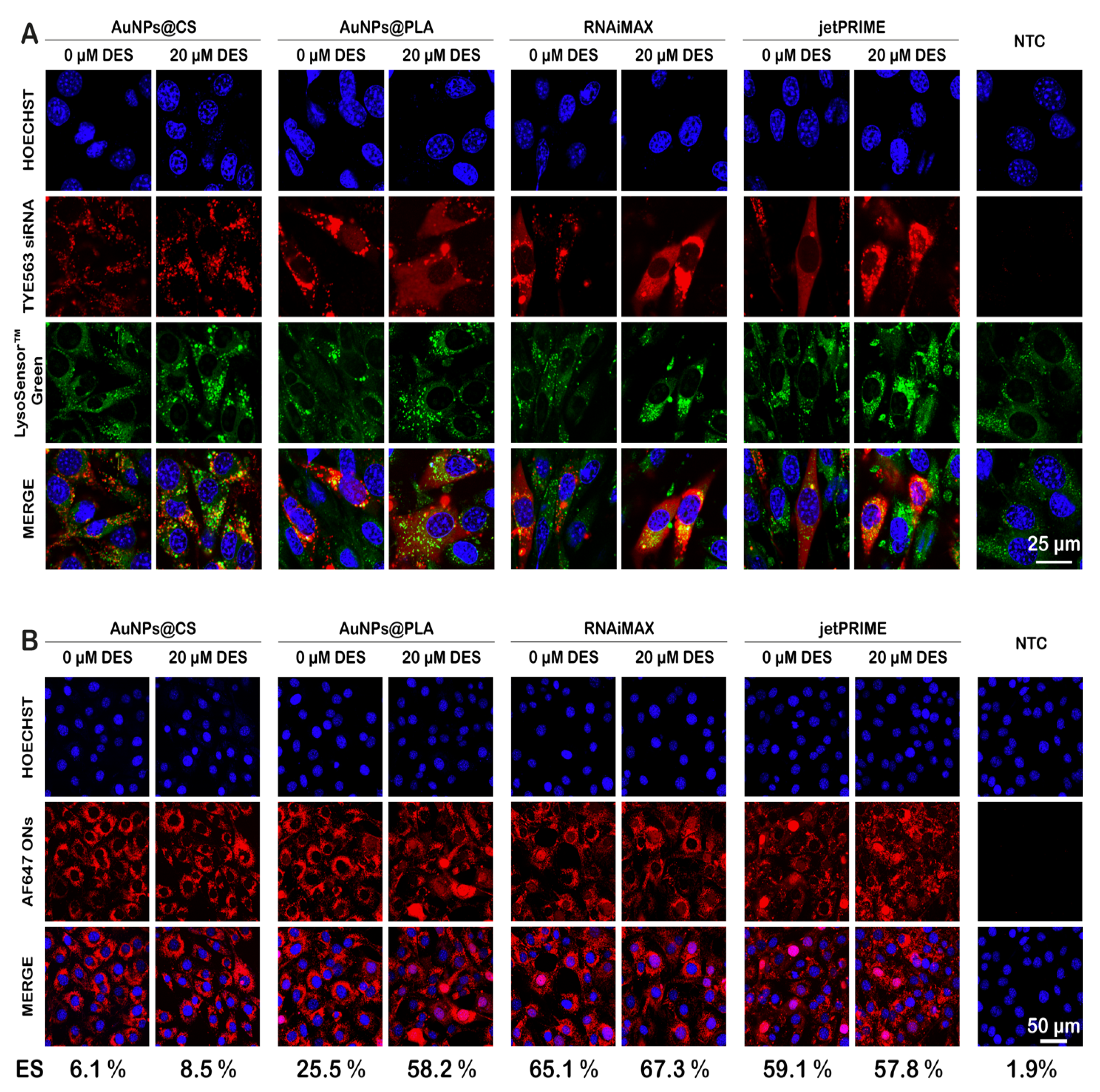 Ijms 22 09216 g004 550