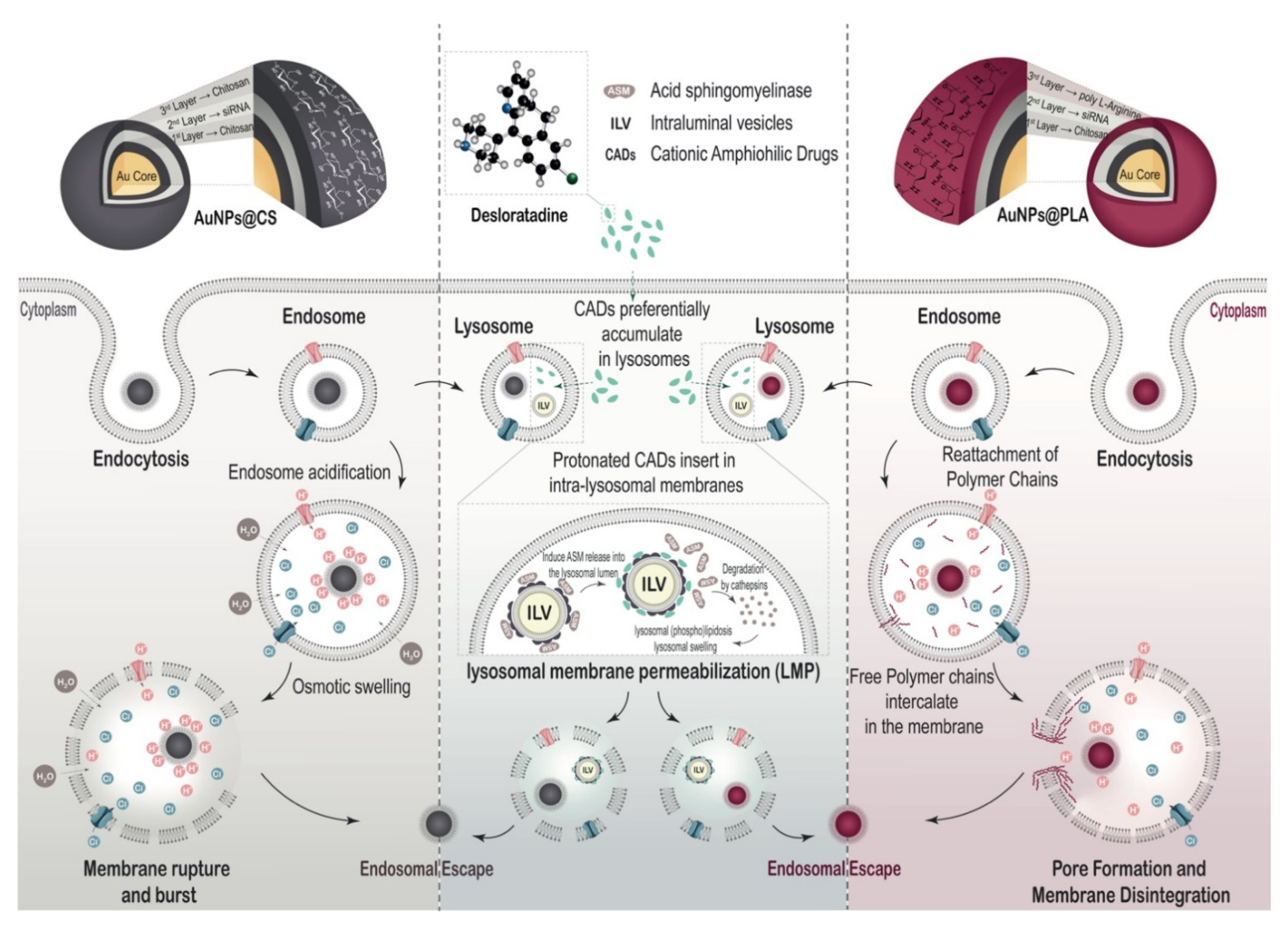 Ijms 22 09216 sch002 550