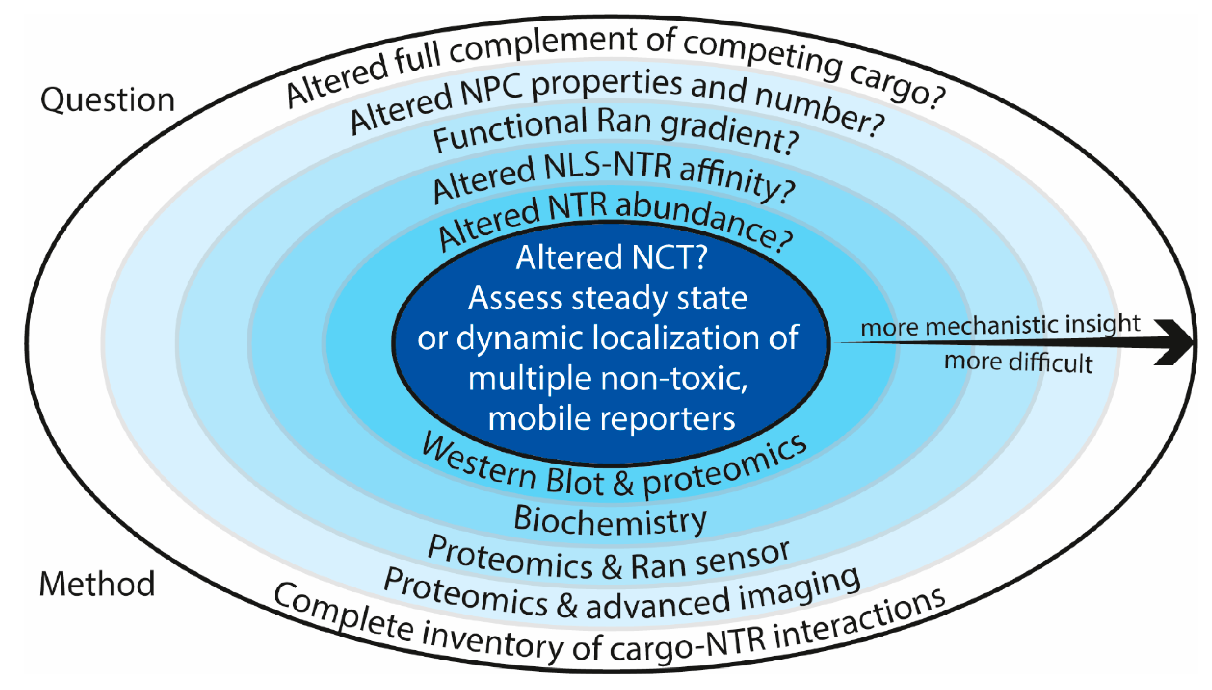 Ijms 22 09217 g002 Ijms 22 09217 g002