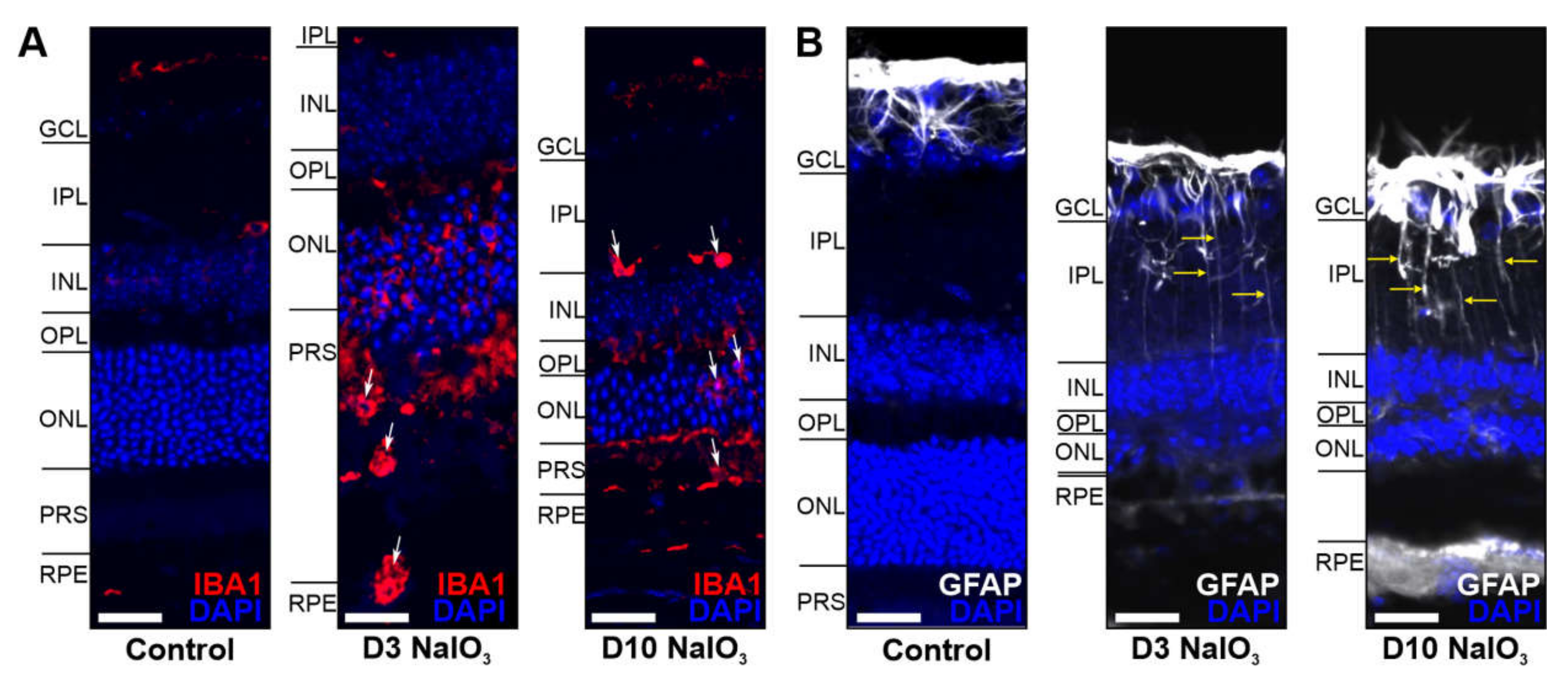 Ijms 22 09218 g007 550