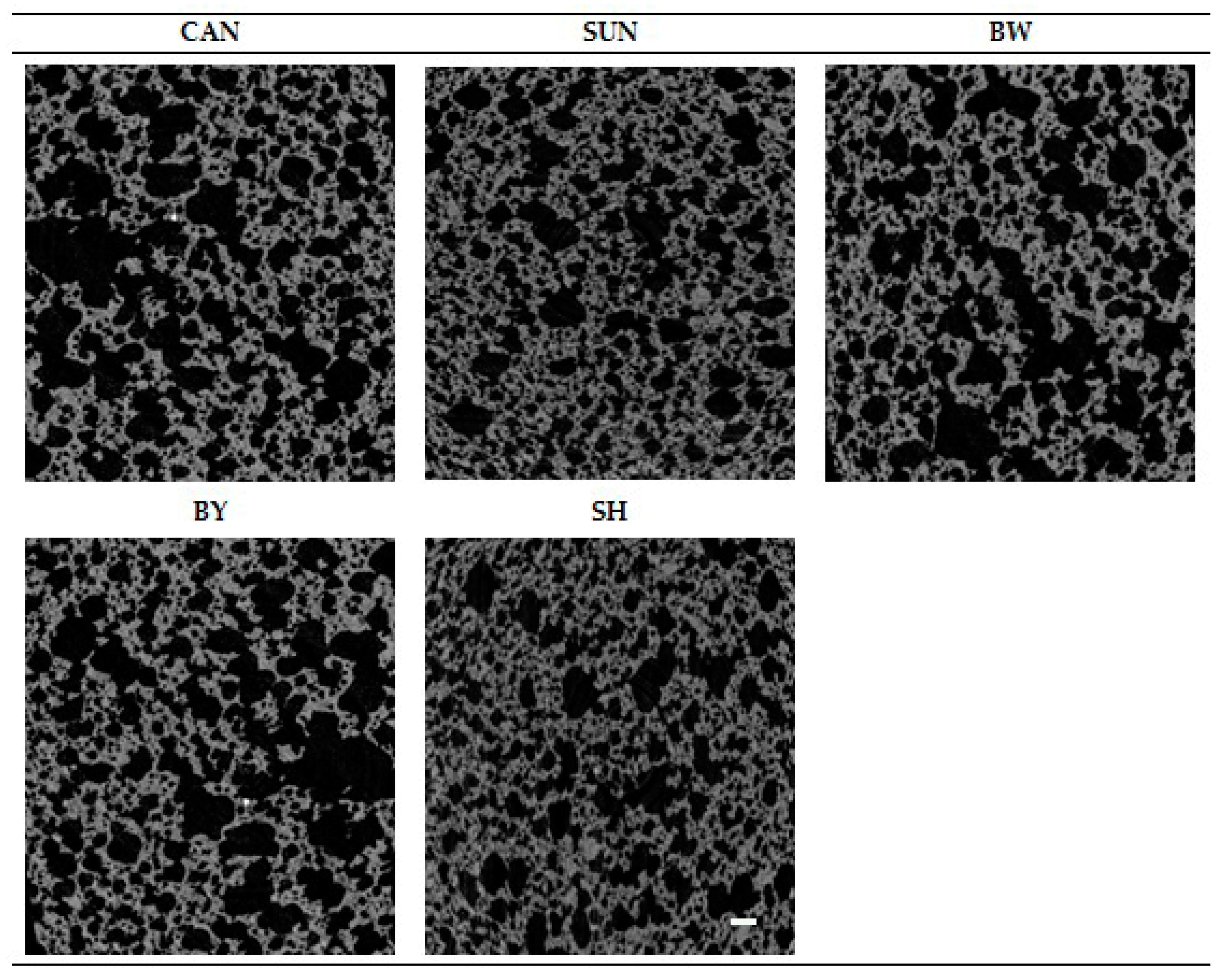 Ijms 22 09220 g003 550