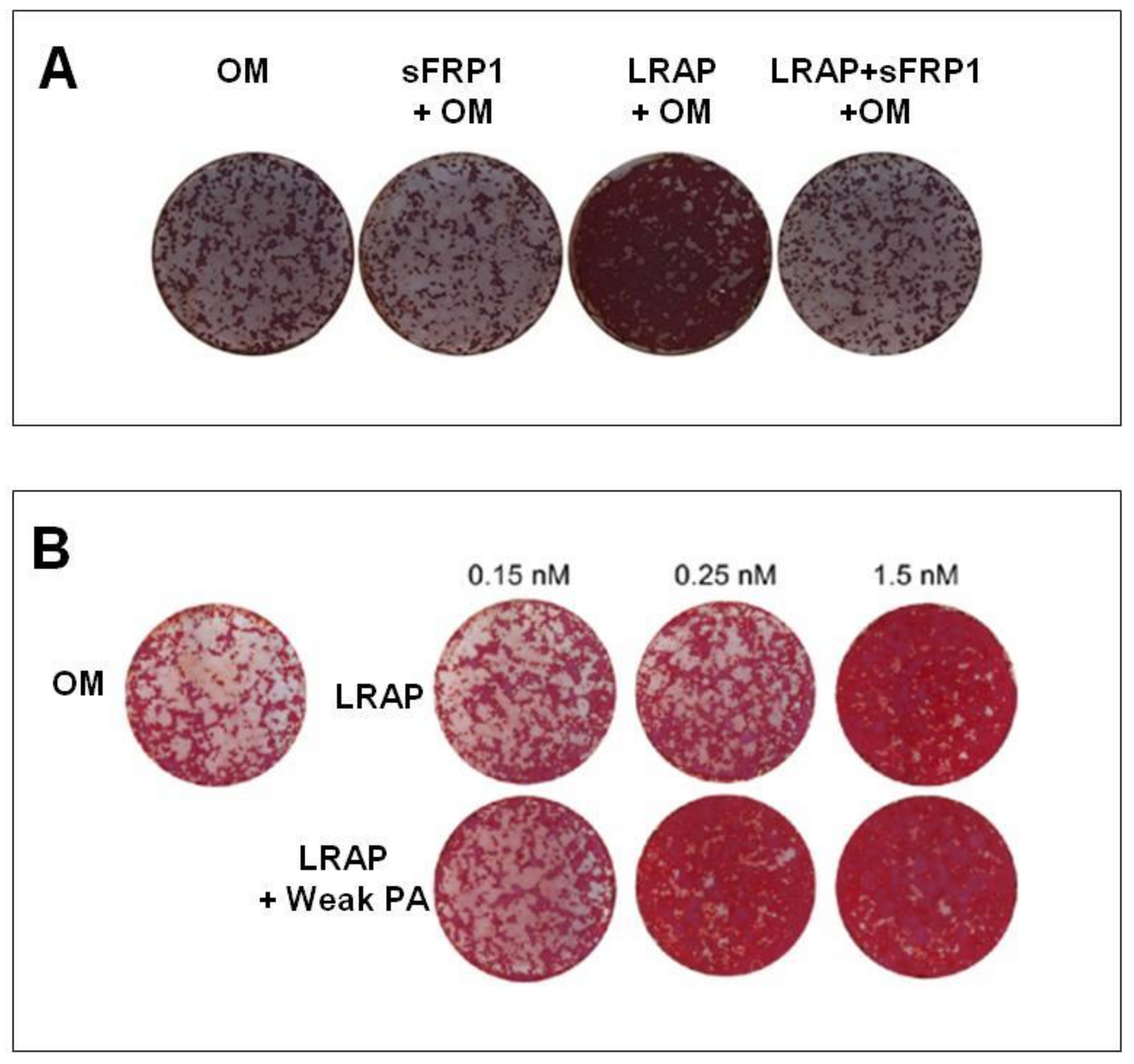Ijms 22 09224 g003 Ijms 22 09224 g003
