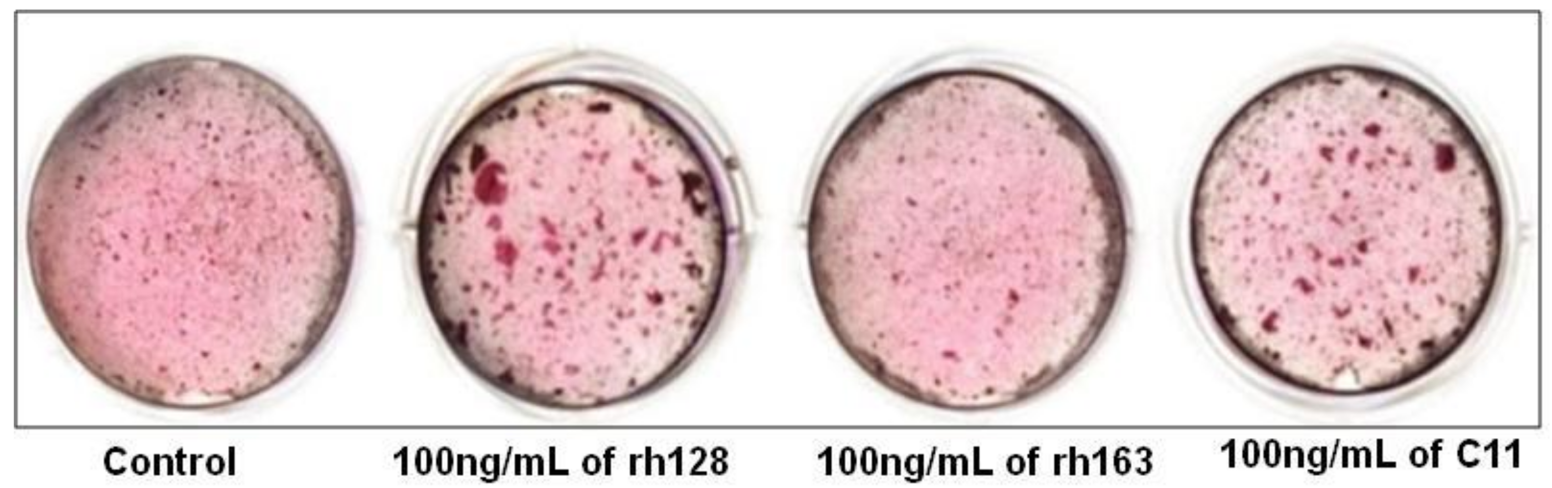 Ijms 22 09224 g006 Ijms 22 09224 g006