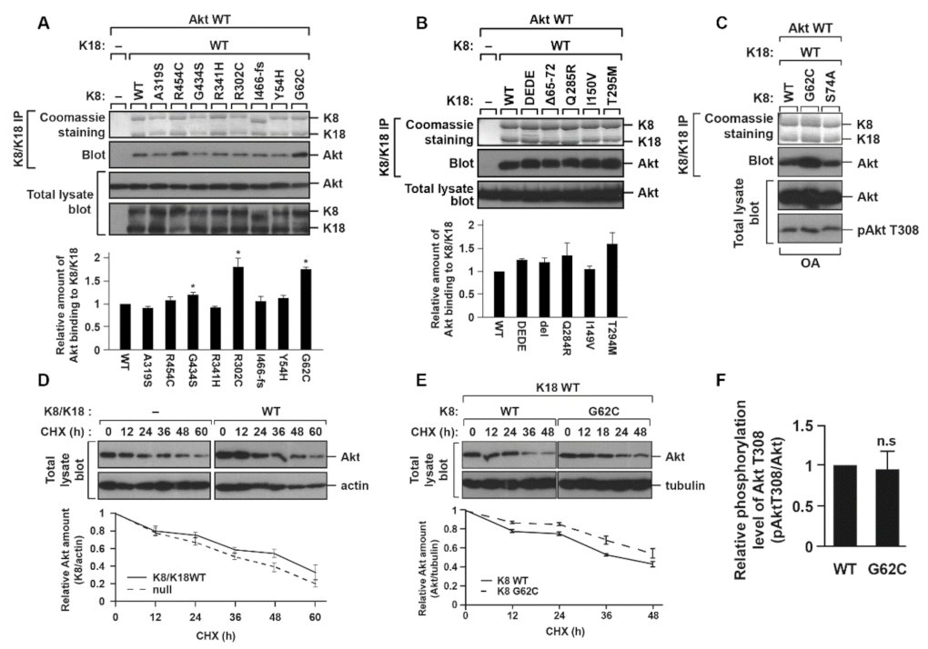 Ijms 22 09227 g003 550