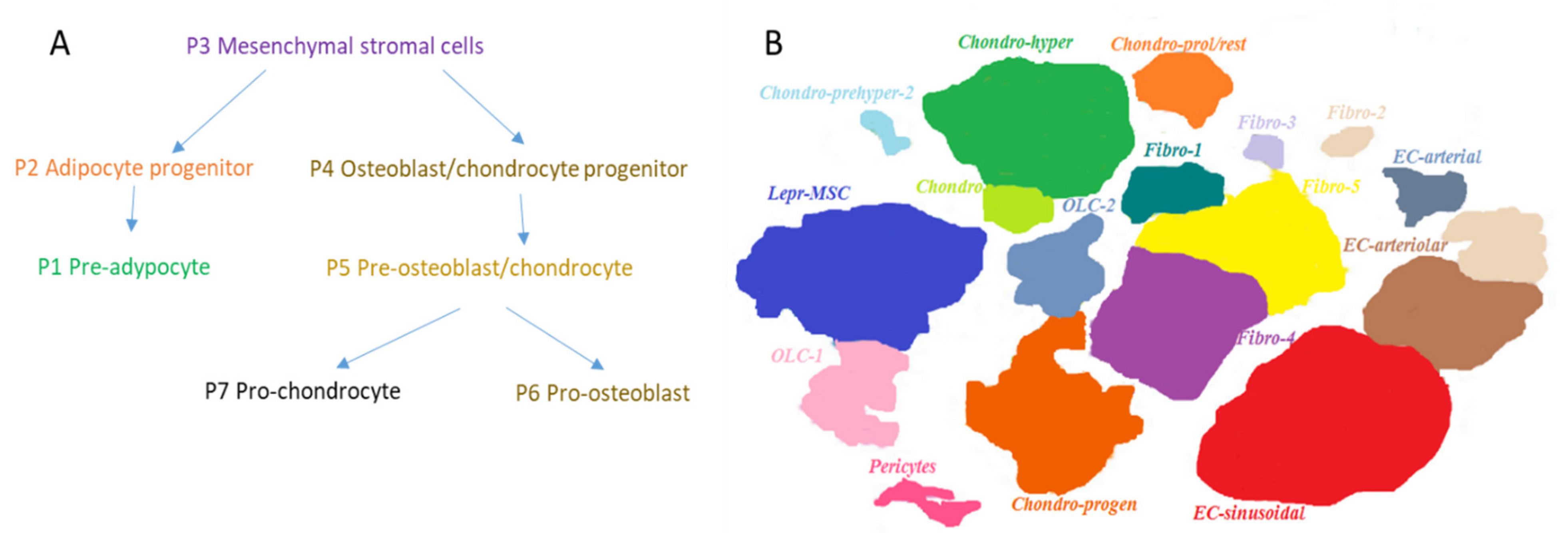 Ijms 22 09231 g003 Ijms 22 09231 g003