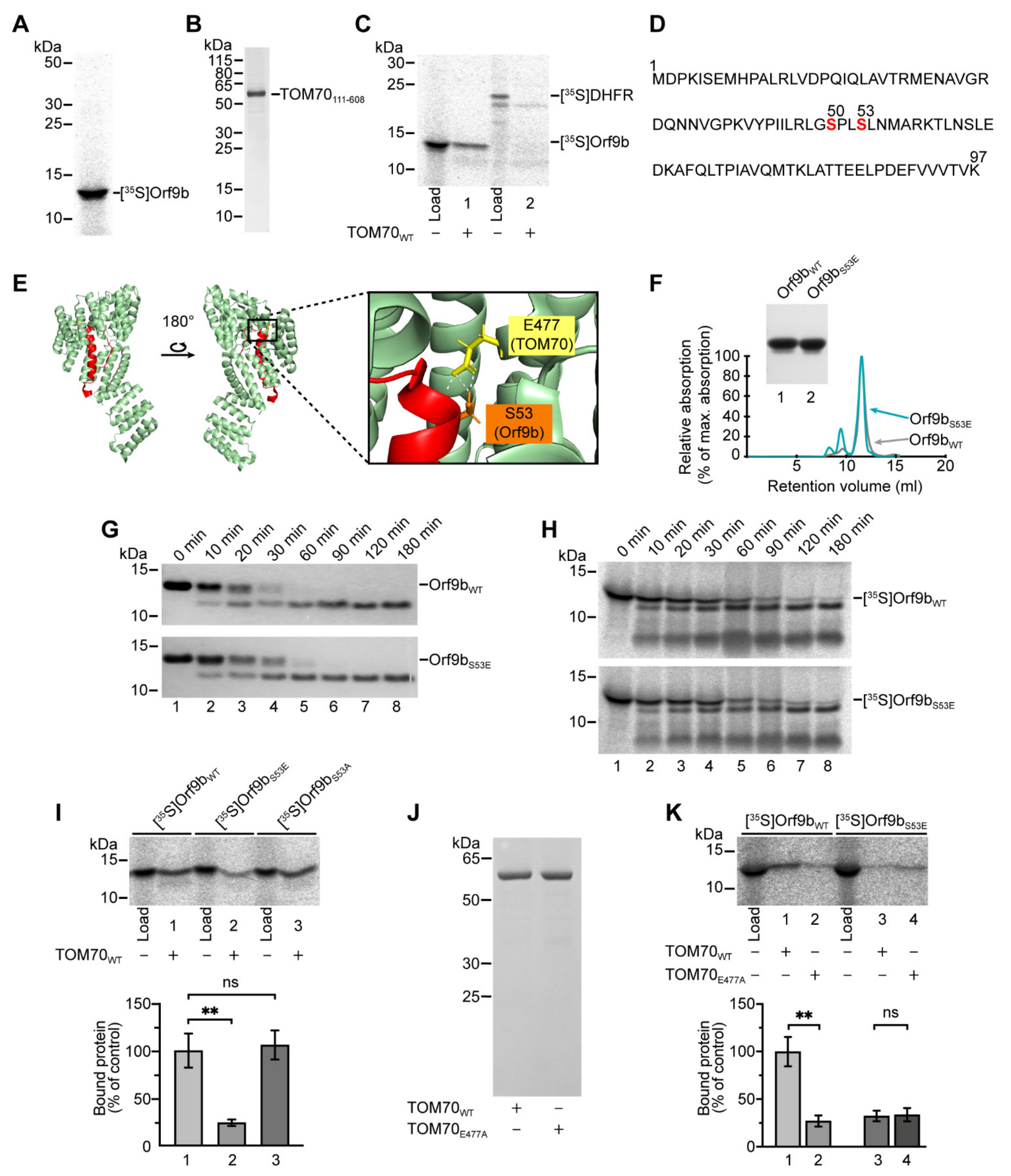 Ijms 22 09233 g001 550