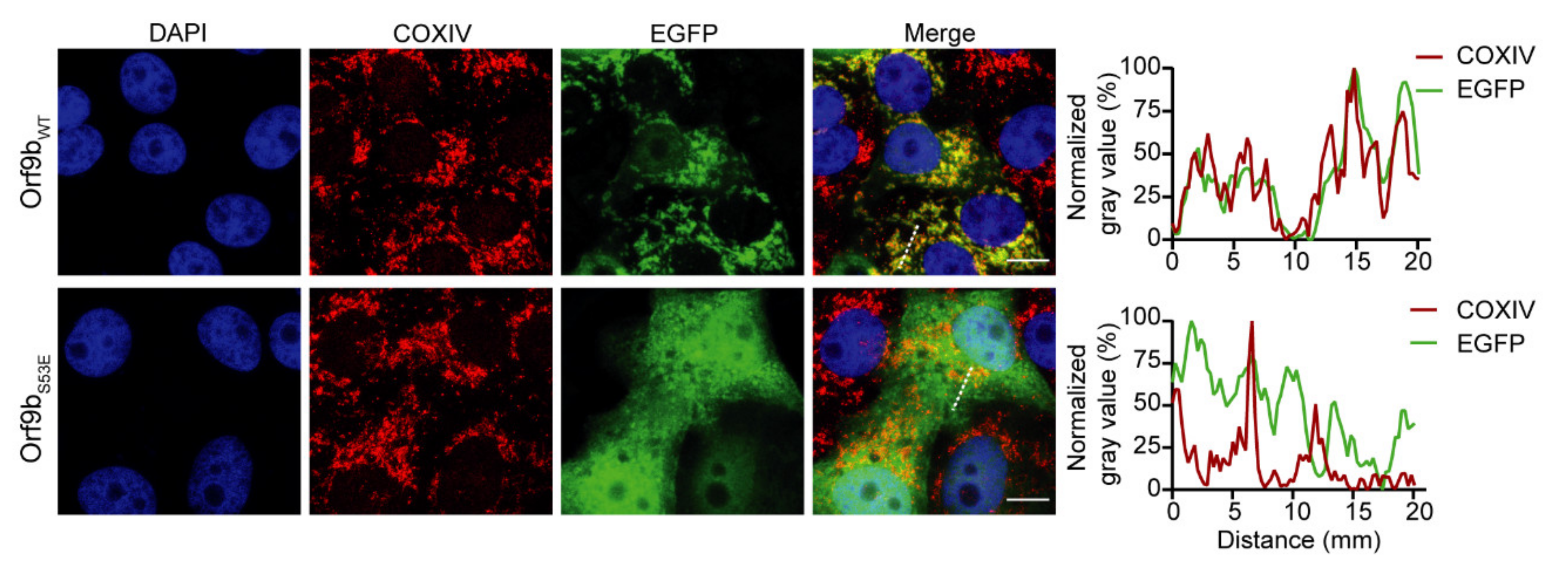 Ijms 22 09233 g002 550