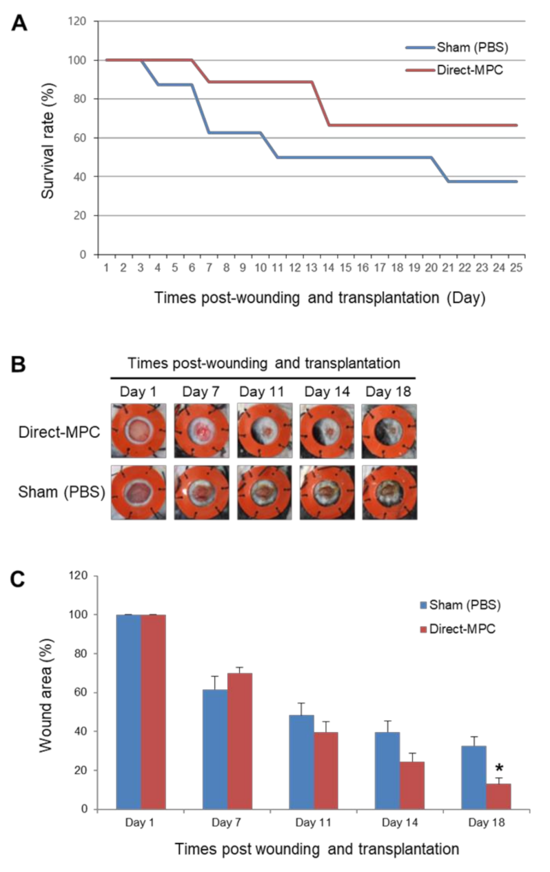 Ijms 22 09238 g003 550