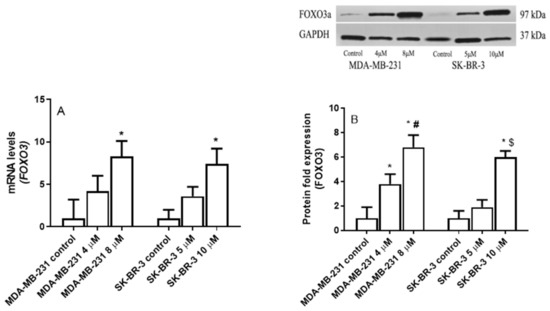 Eugenol-Induced Autophagy and Apoptosis in Breast Cancer Cells via PI3K ...