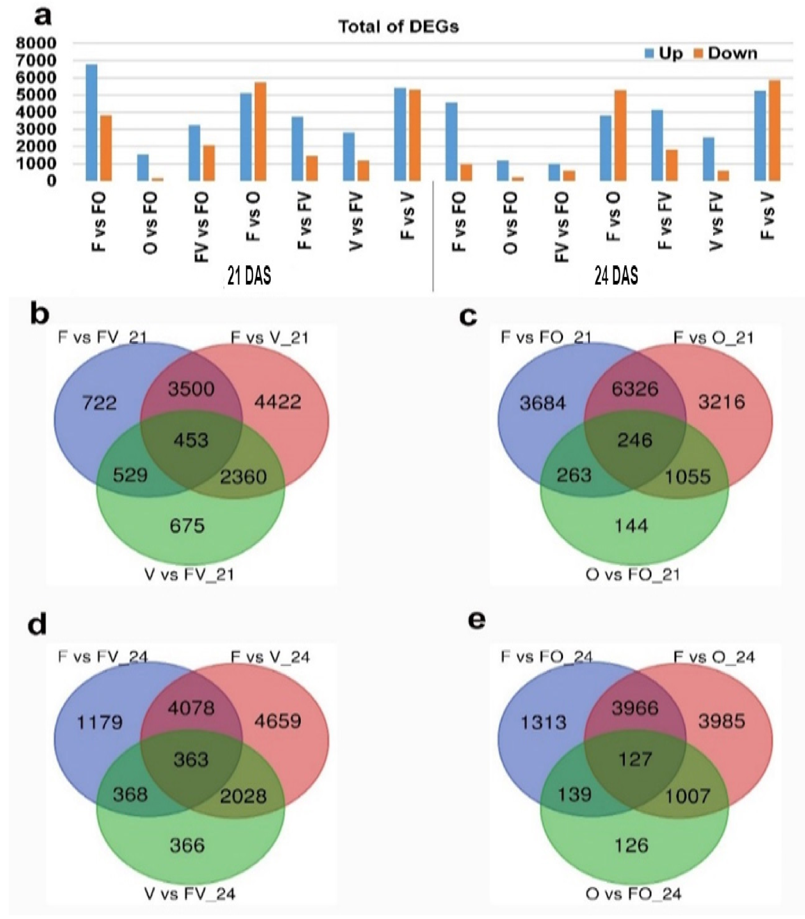 Ijms 22 09246 g002 550