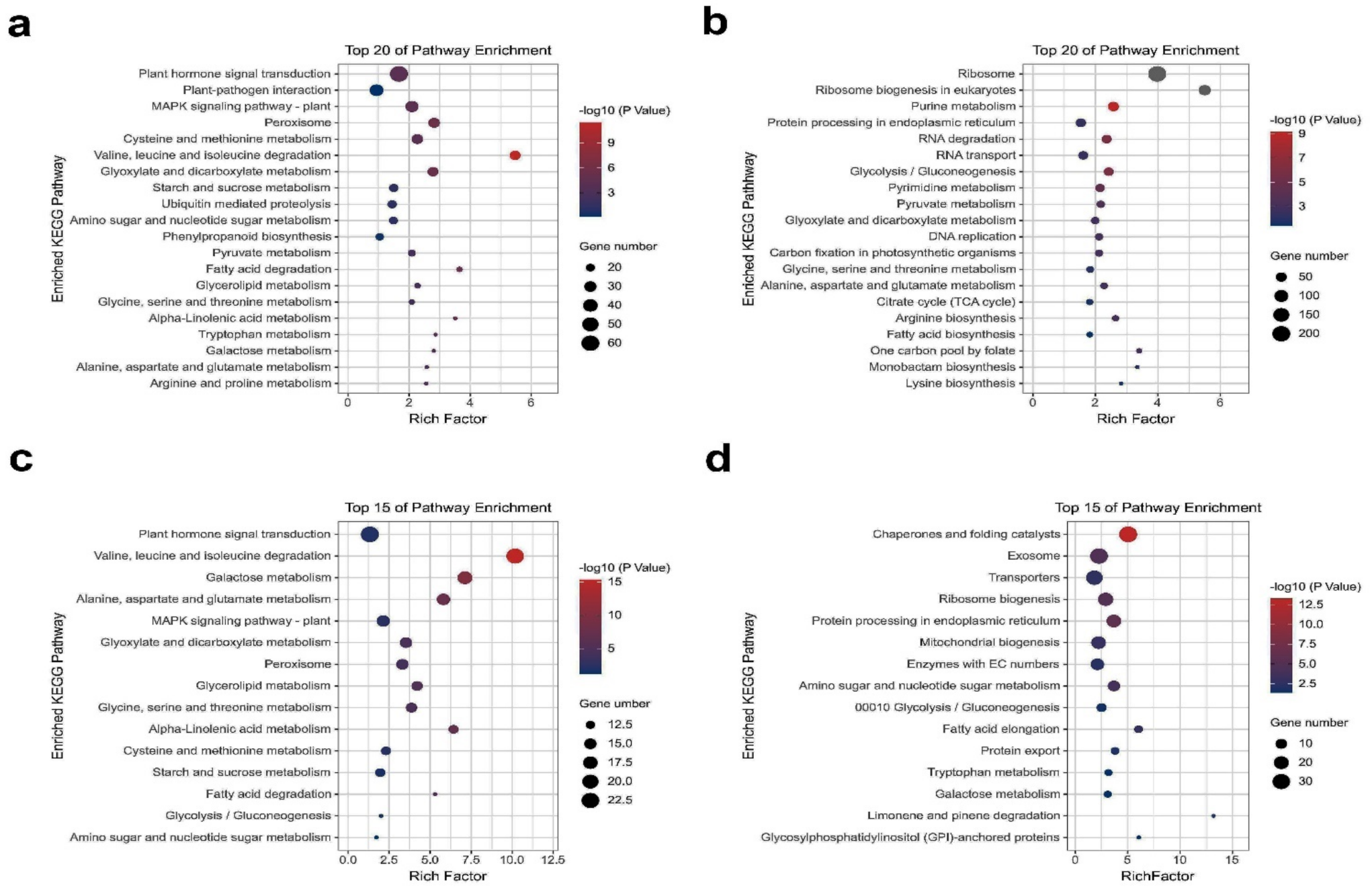 Ijms 22 09246 g004 550