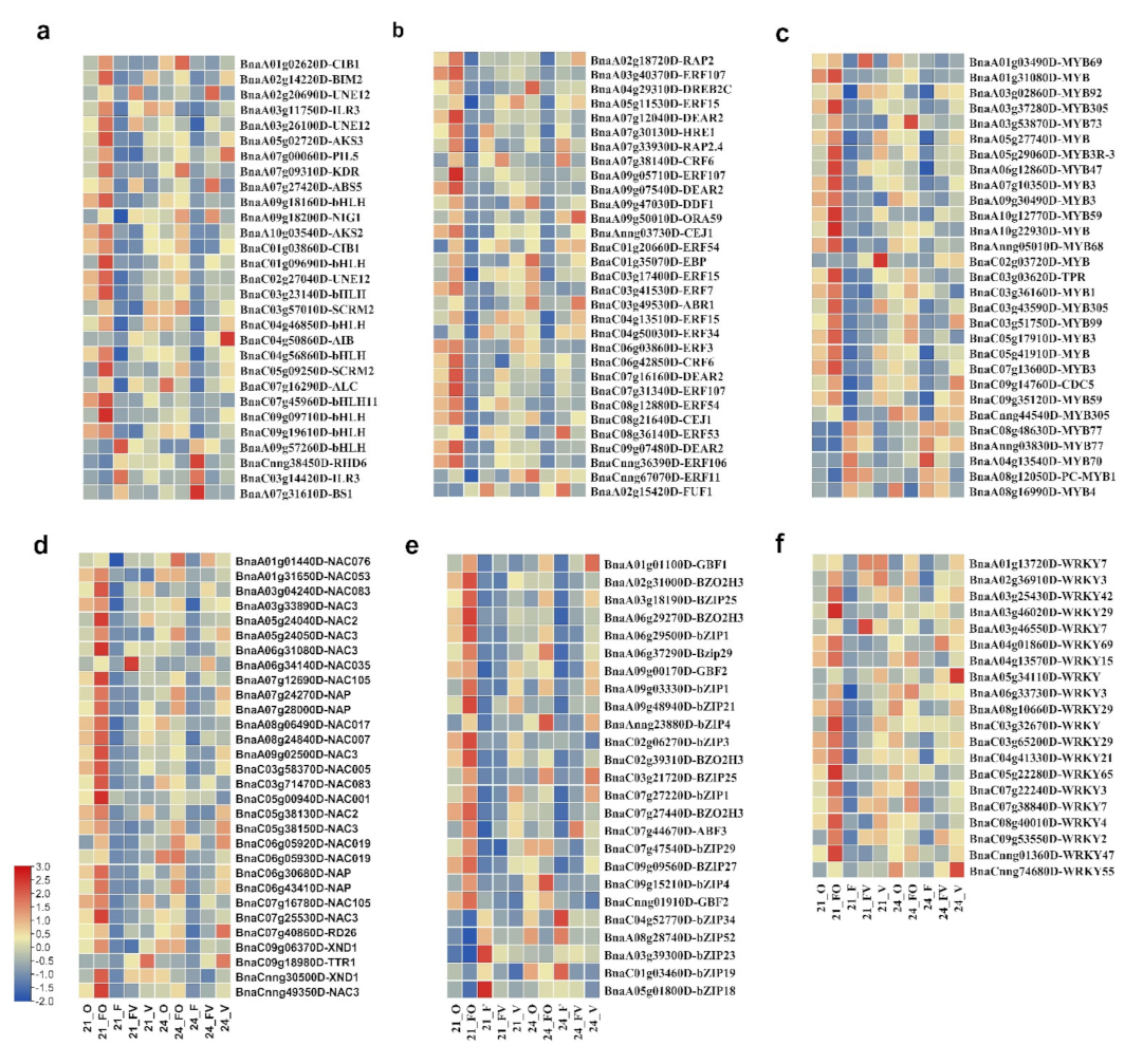 Ijms 22 09246 g007 550